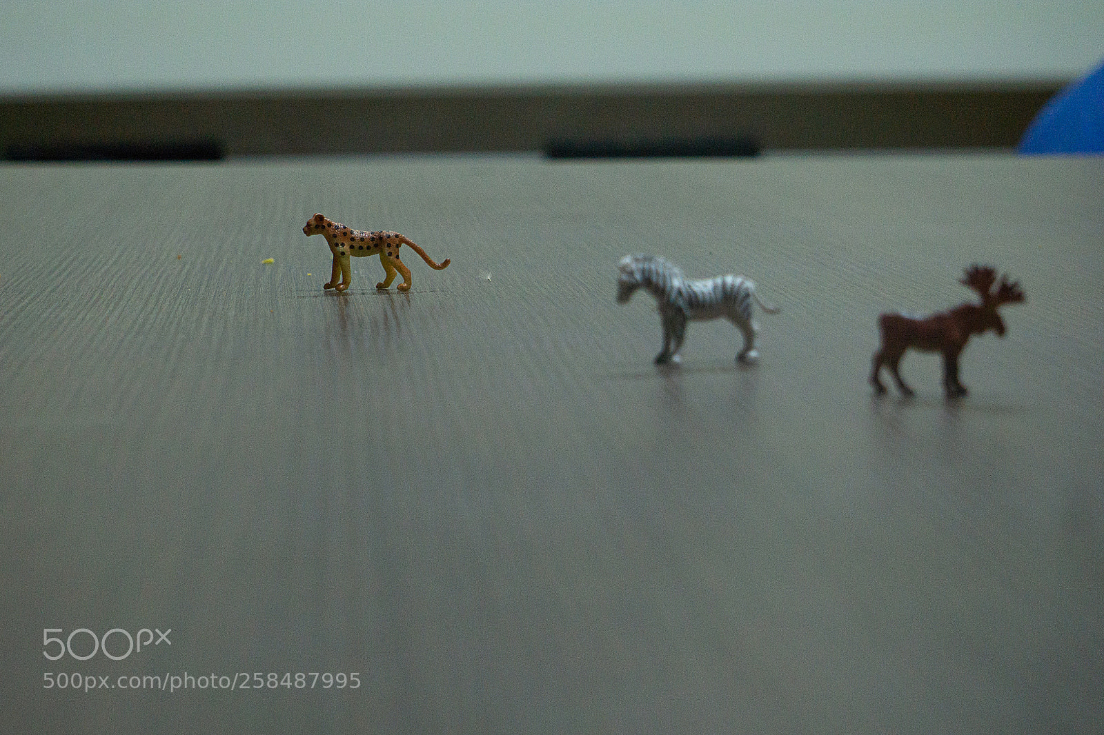 Sony a6000 sample photo. Untitled photography