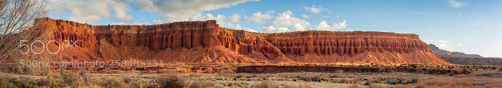 Nikon D700 sample photo. Panoramic landscape in torrey photography