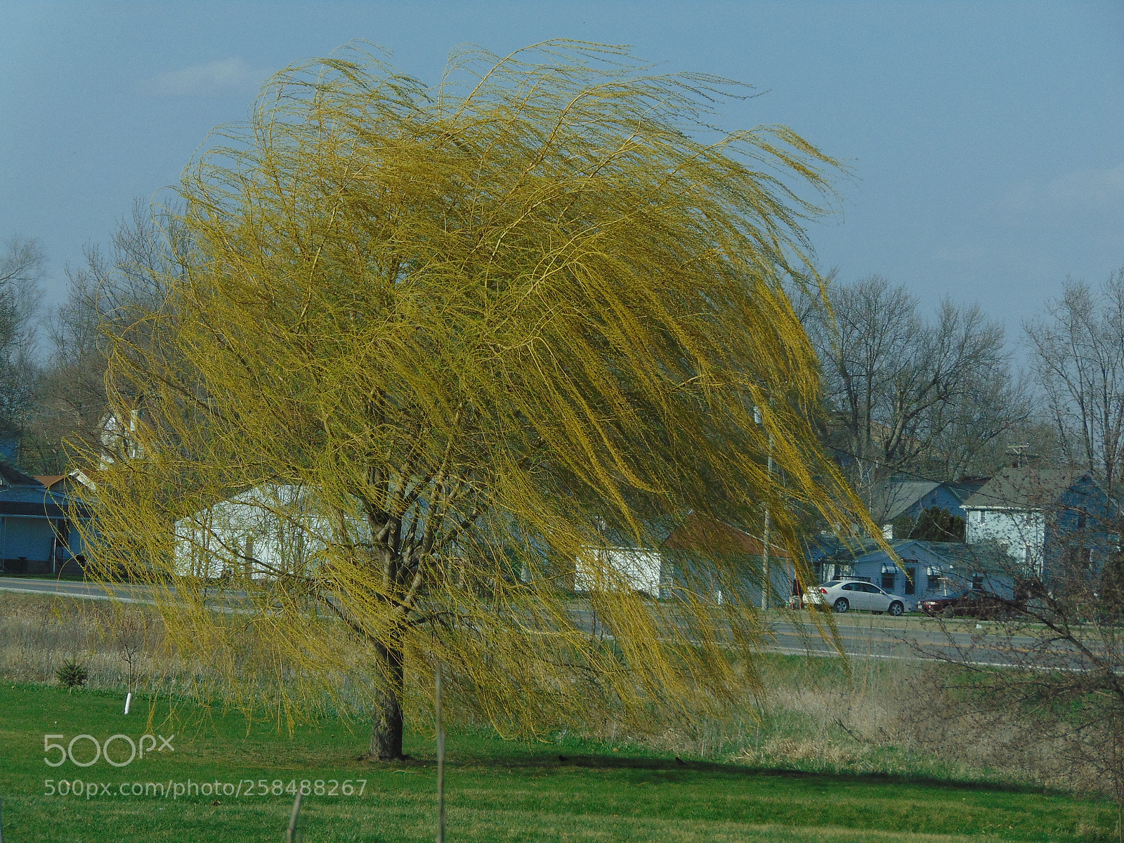 Sony Cyber-shot DSC-H300 sample photo. 009.jpg photography