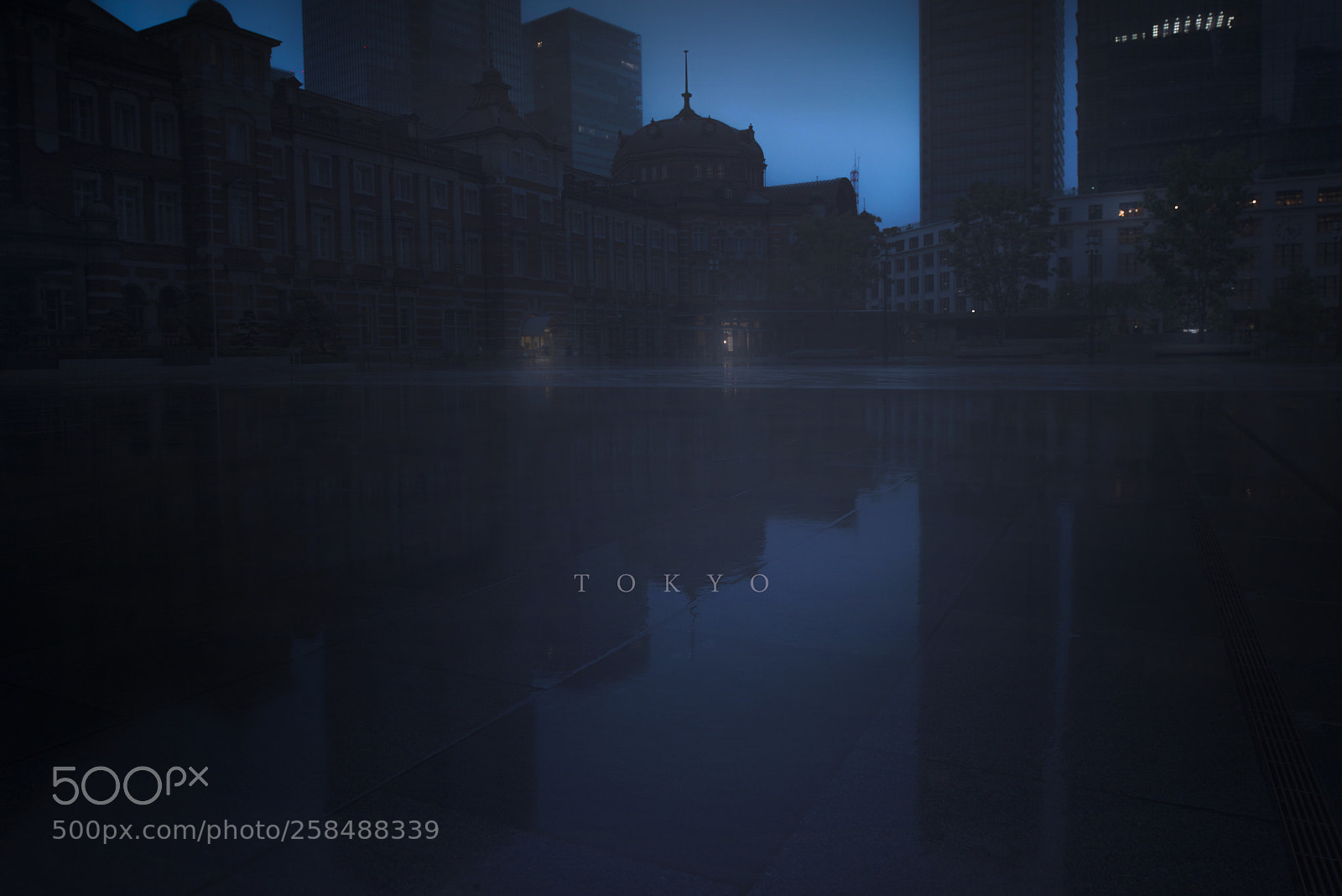 Nikon D800 sample photo. Tokyo photography