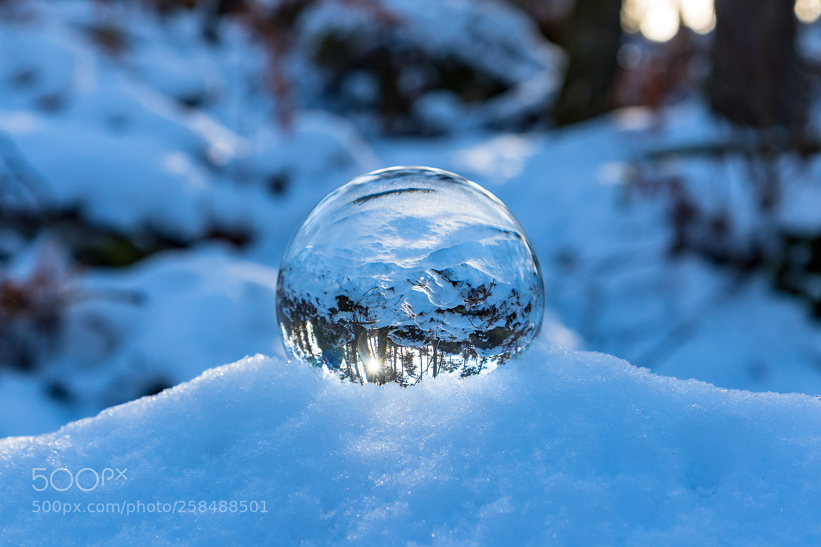 Canon EOS 7D Mark II sample photo. Snow ball photography