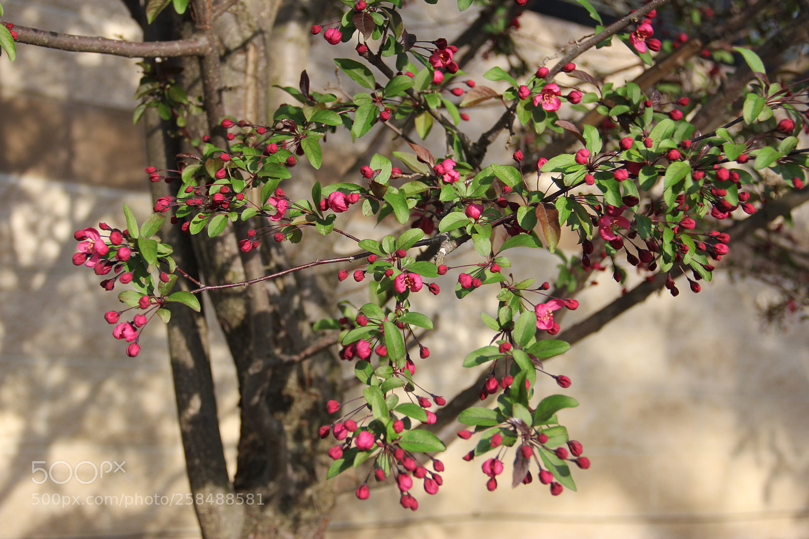 Canon EF-S 18-135mm F3.5-5.6 IS sample photo. View from a fine photography
