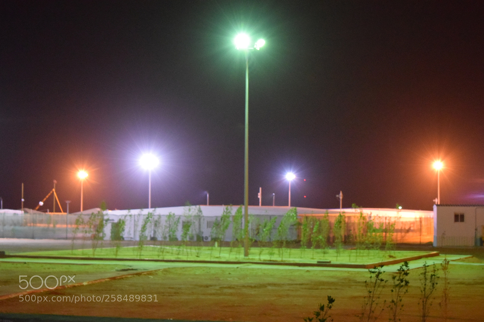 Nikon D5300 sample photo. Camp photography