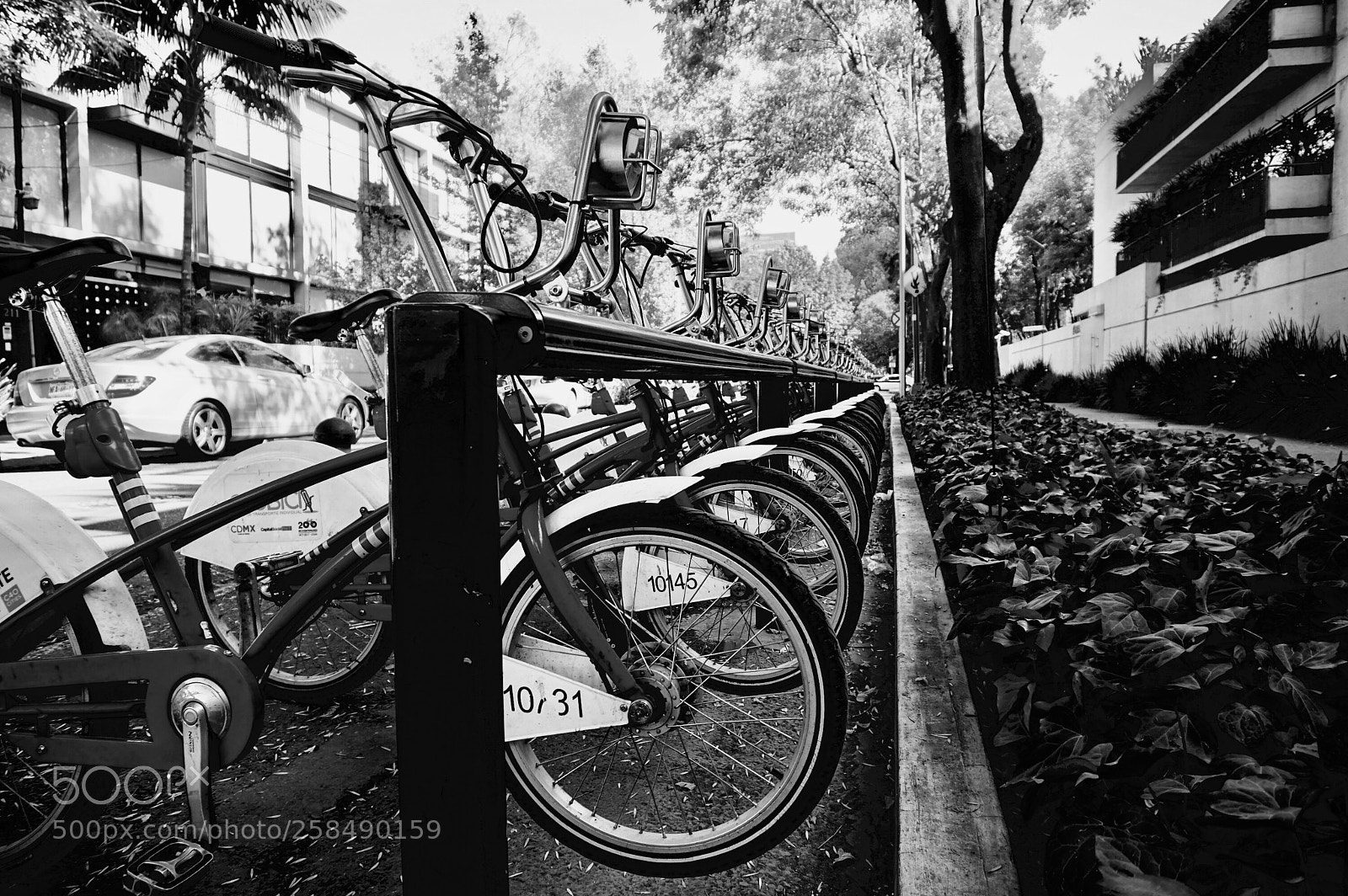 Sony a6000 sample photo. Bicycle station photography