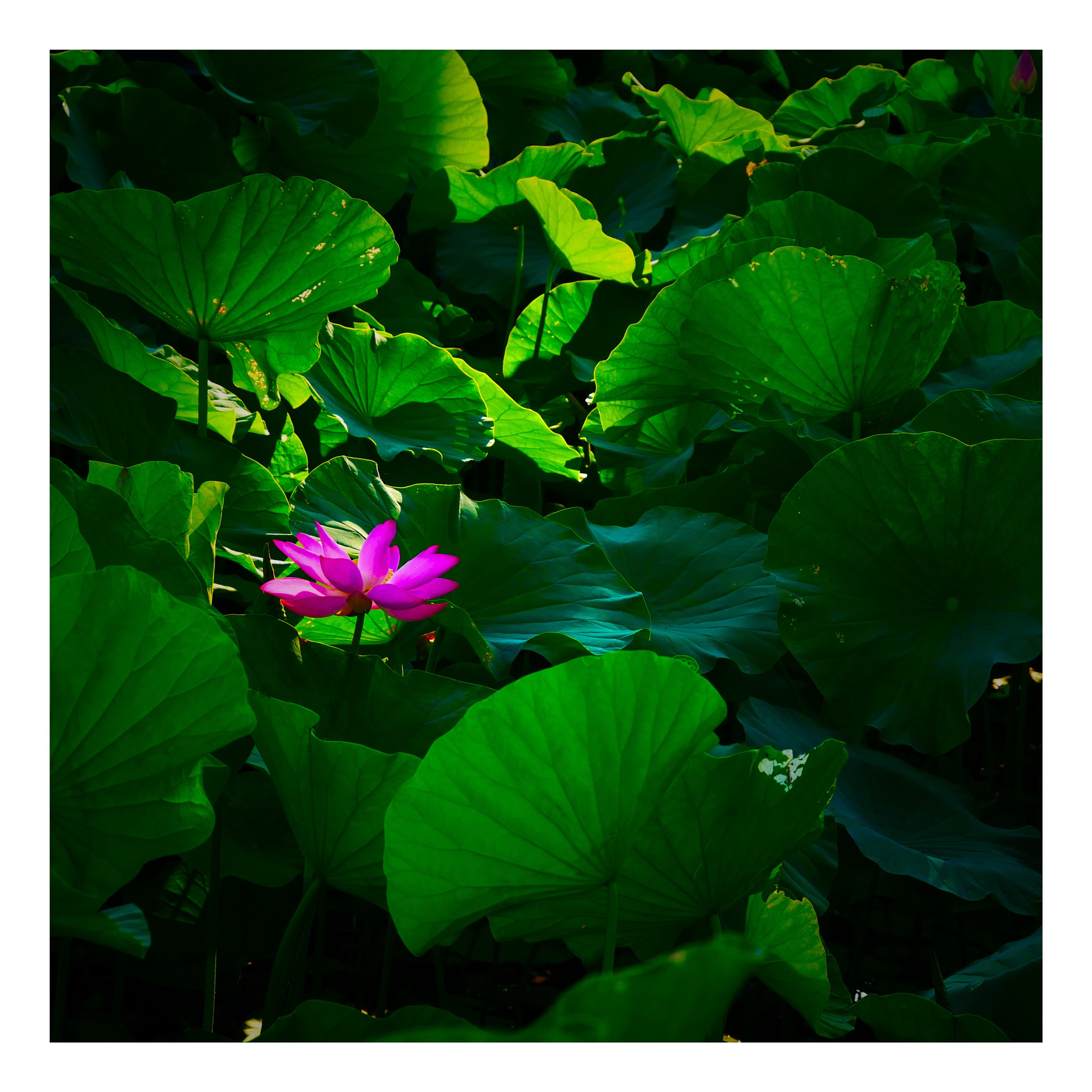 Panasonic Lumix DC-GX850 (Lumix DC-GX800 / Lumix DC-GF9) sample photo