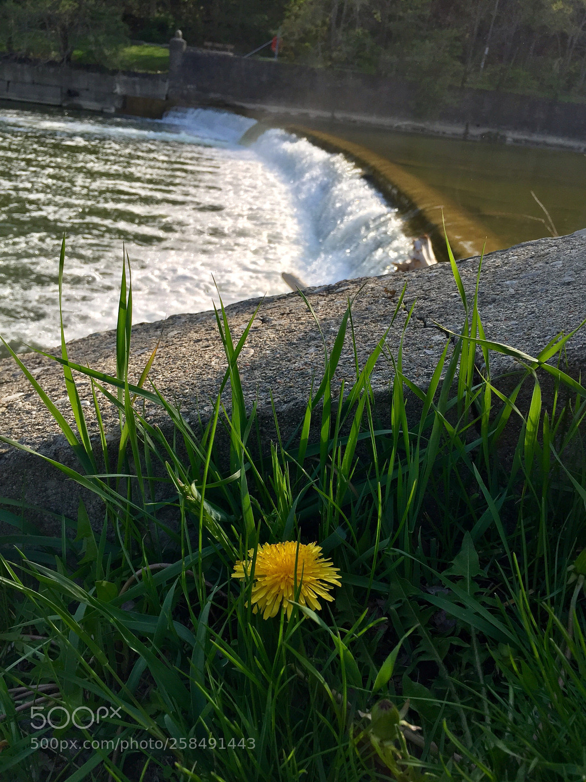 Apple iPhone 6 Plus sample photo. Untitled photography