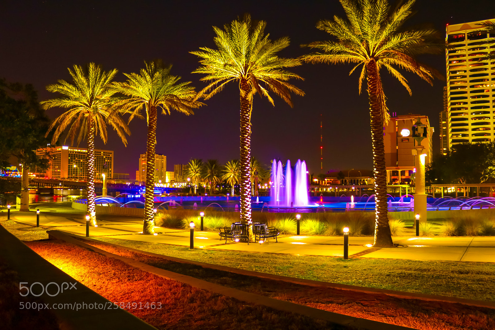 Canon EOS 750D (EOS Rebel T6i / EOS Kiss X8i) sample photo. Downtown palms photography
