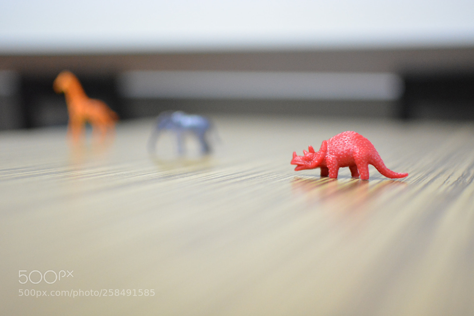 Nikon D5200 sample photo. Untitled photography
