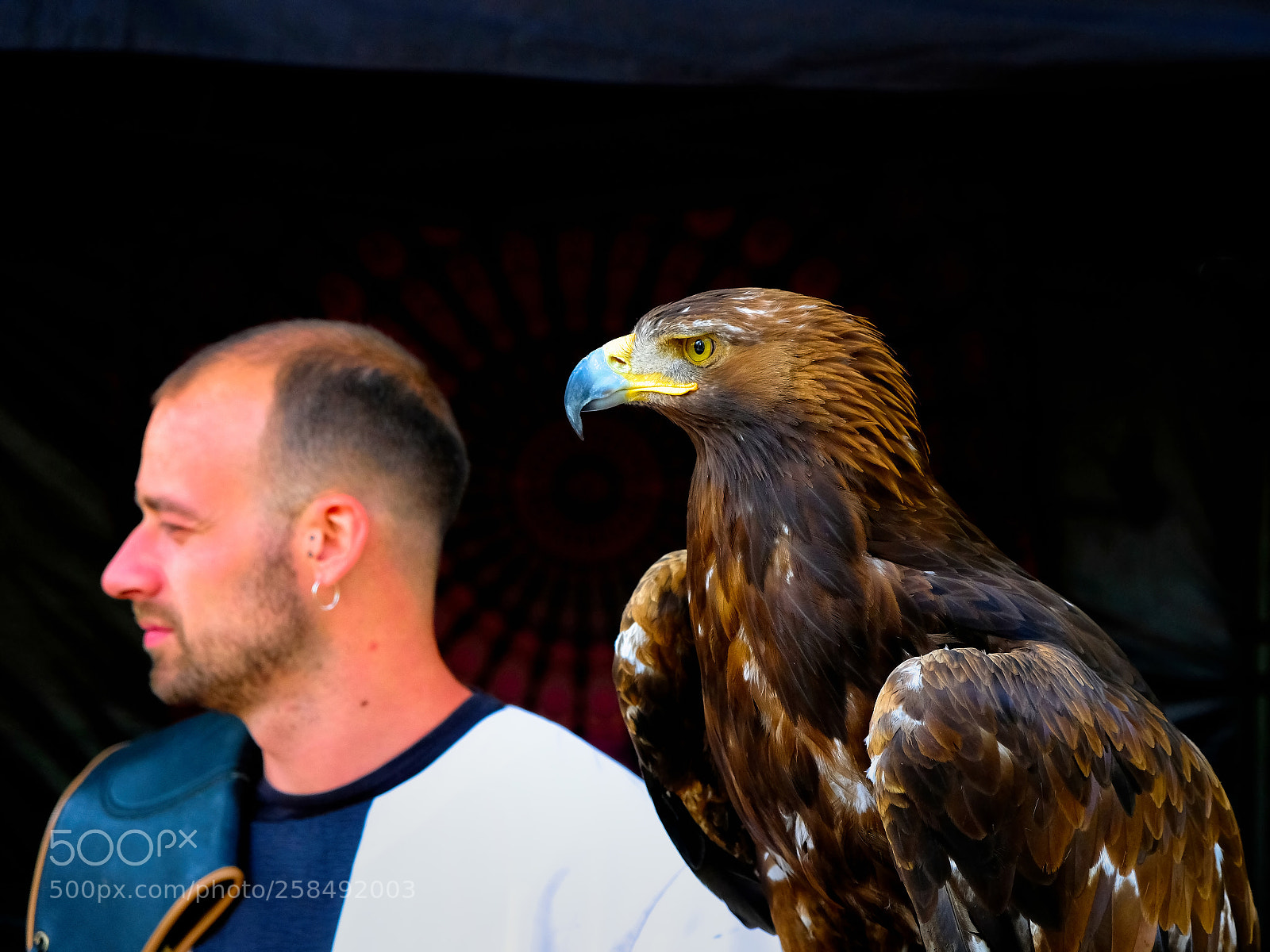 Fujifilm X-T2 sample photo. Eagle photography