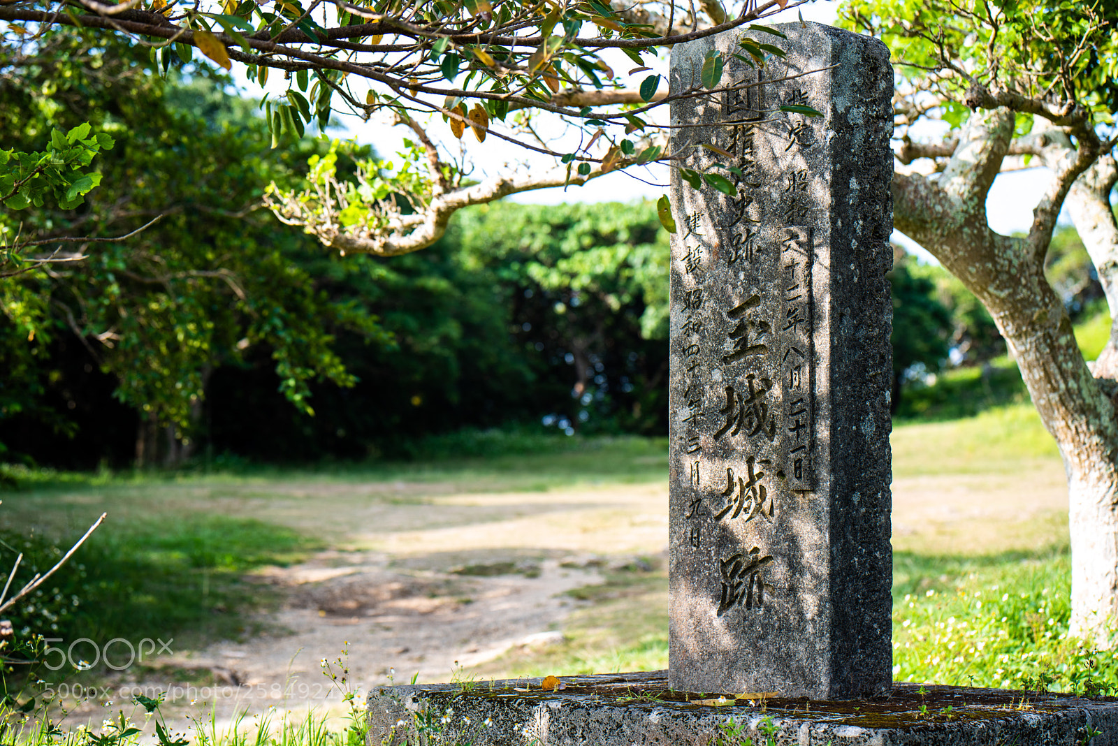 Nikon D750 sample photo. Untitled photography