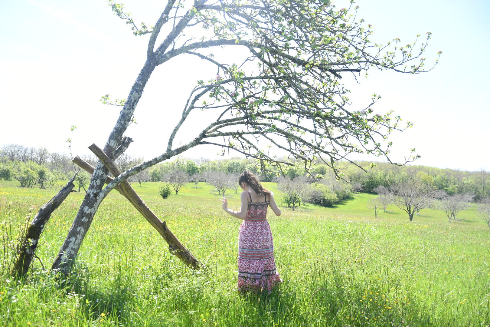 Nikon D500 sample photo. Heaven photography