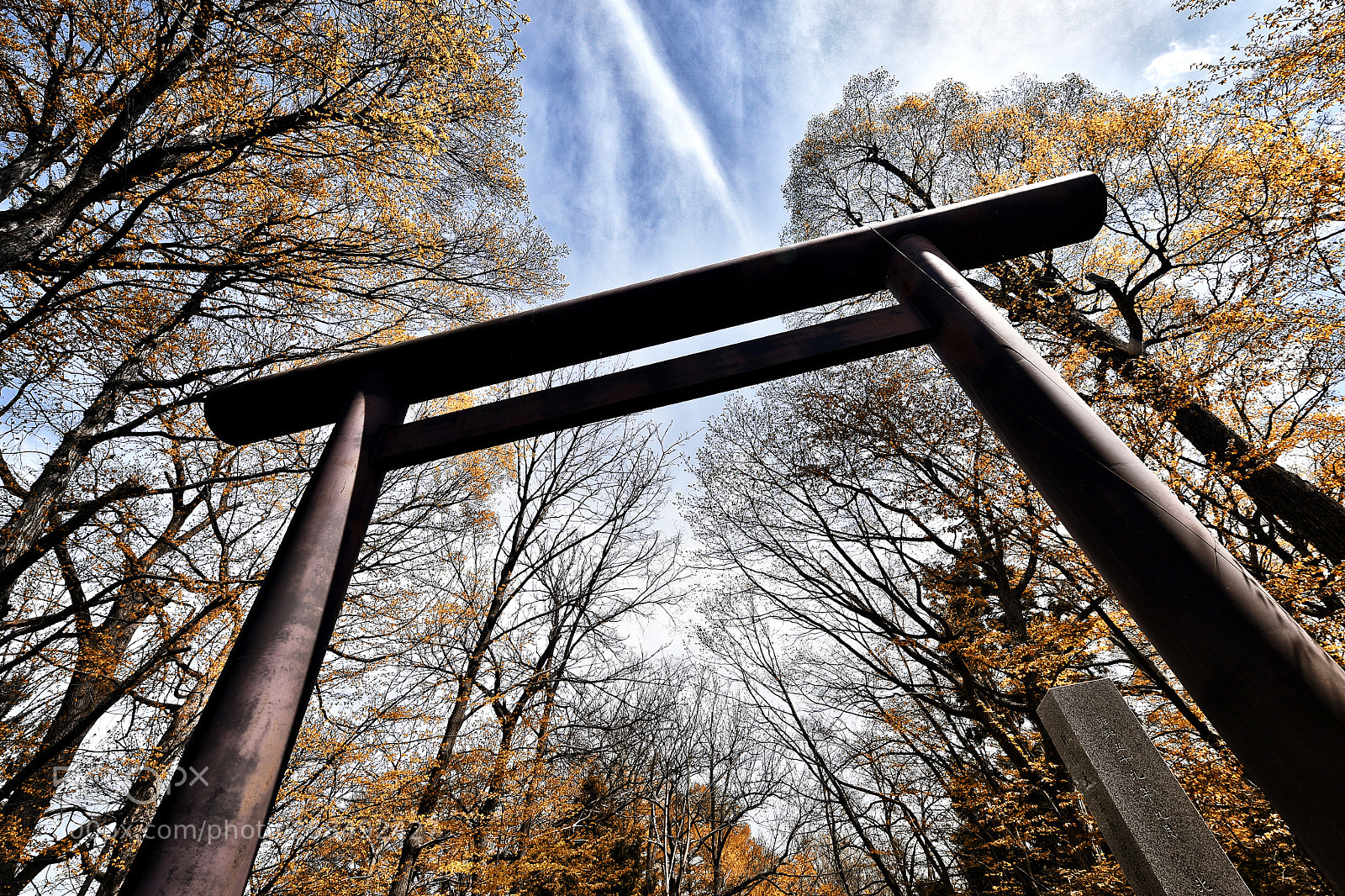 Nikon D750 sample photo. Torii - japanese shrine photography
