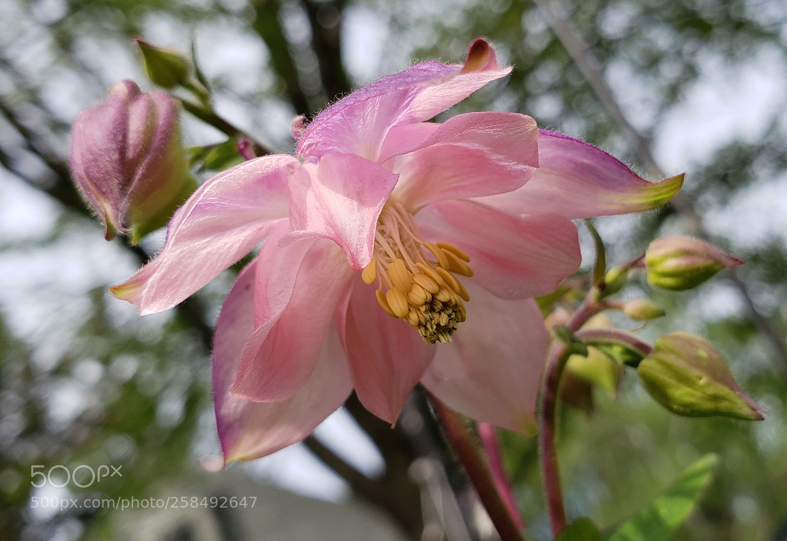 Samsung Galaxy S9 sample photo. Untitled photography