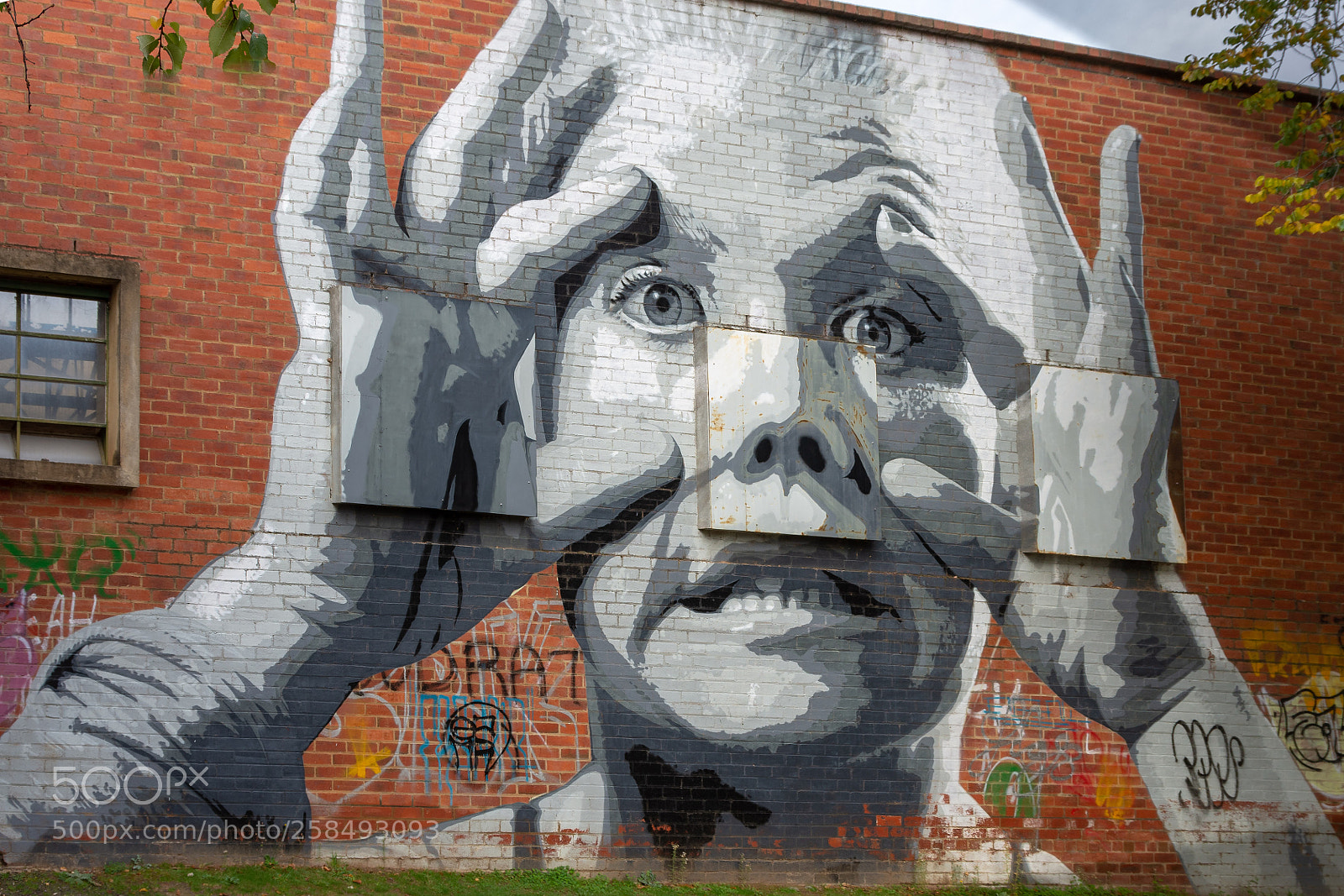 Nikon D7200 sample photo. Castlemaine street art photography
