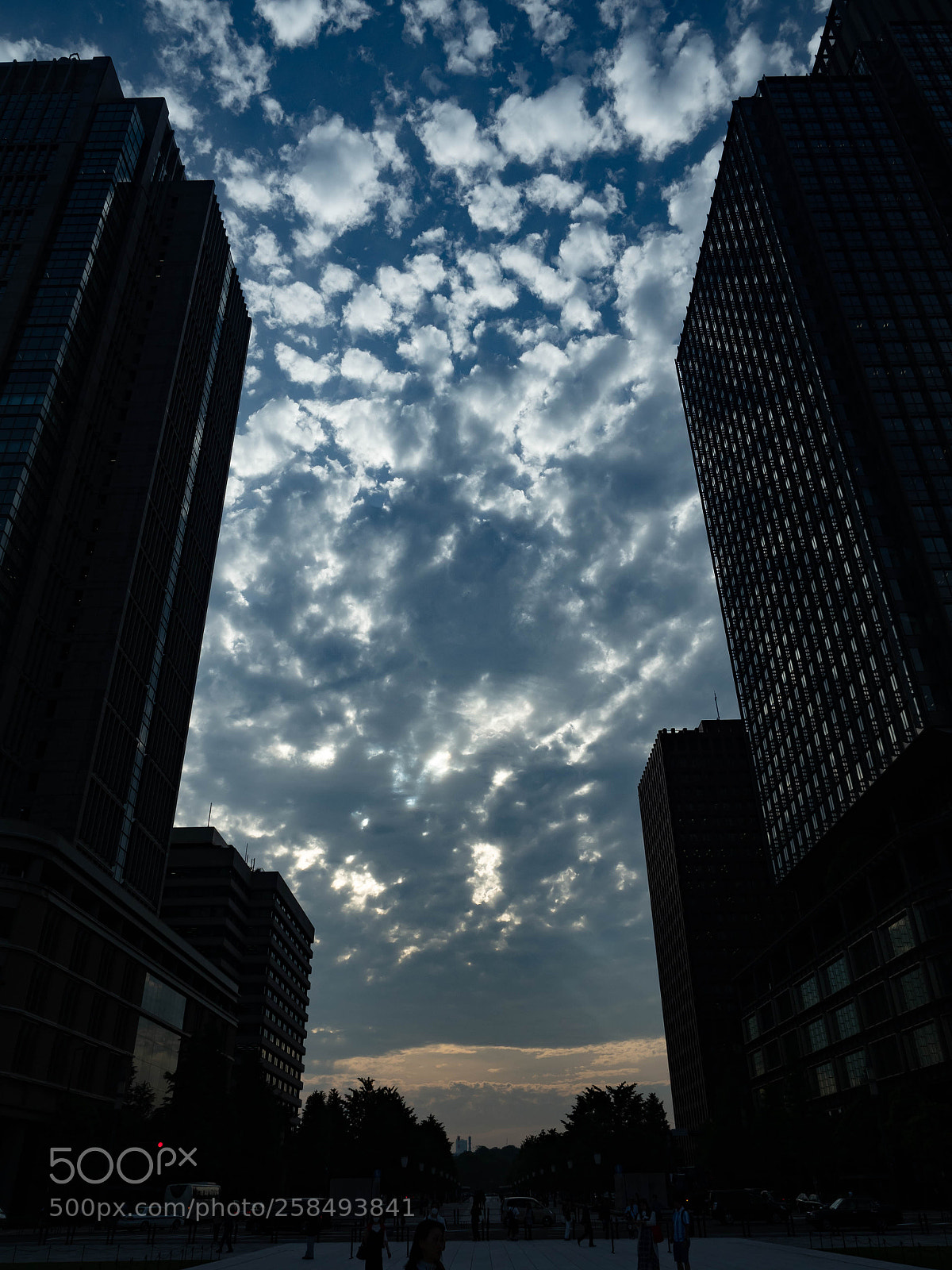 Olympus OM-D E-M5 II sample photo. Tokyo marunouchi photography