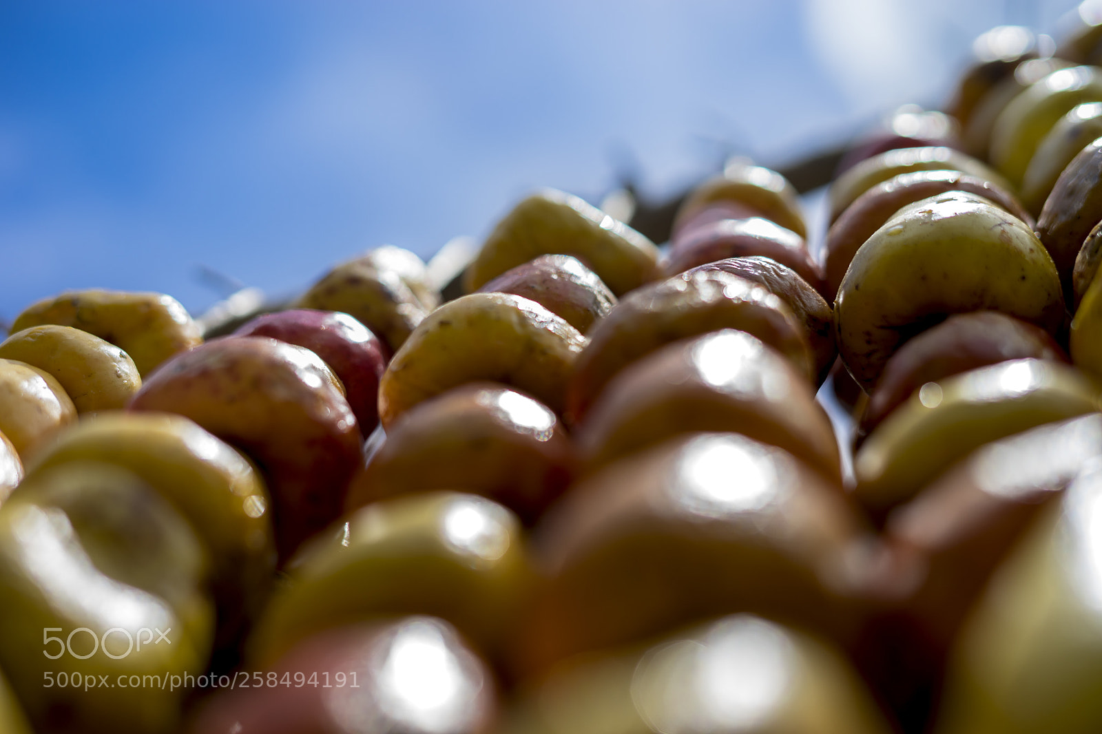 Sony a7 II sample photo. Cajuiles photography