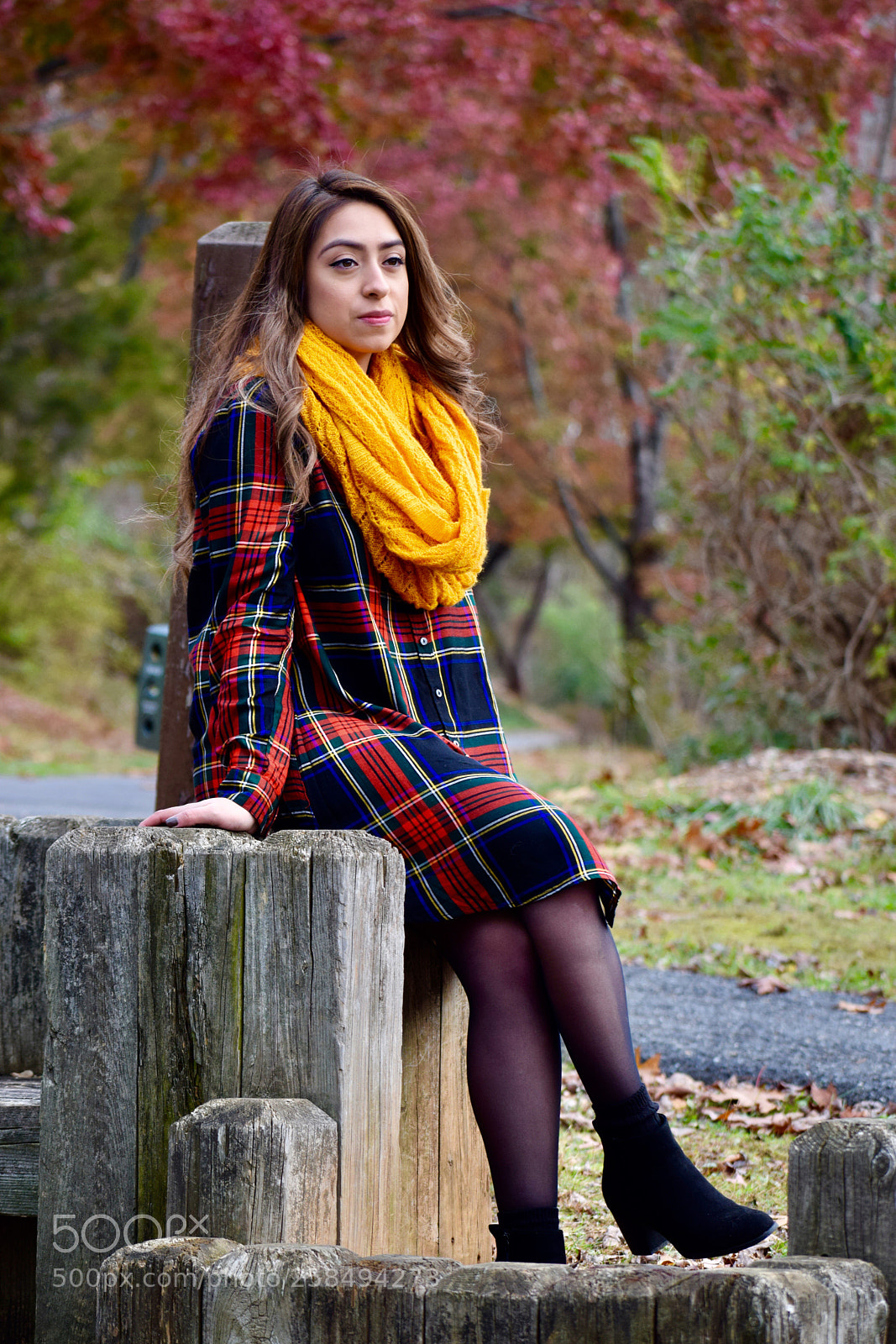 Nikon D3300 sample photo. Fall special  photography