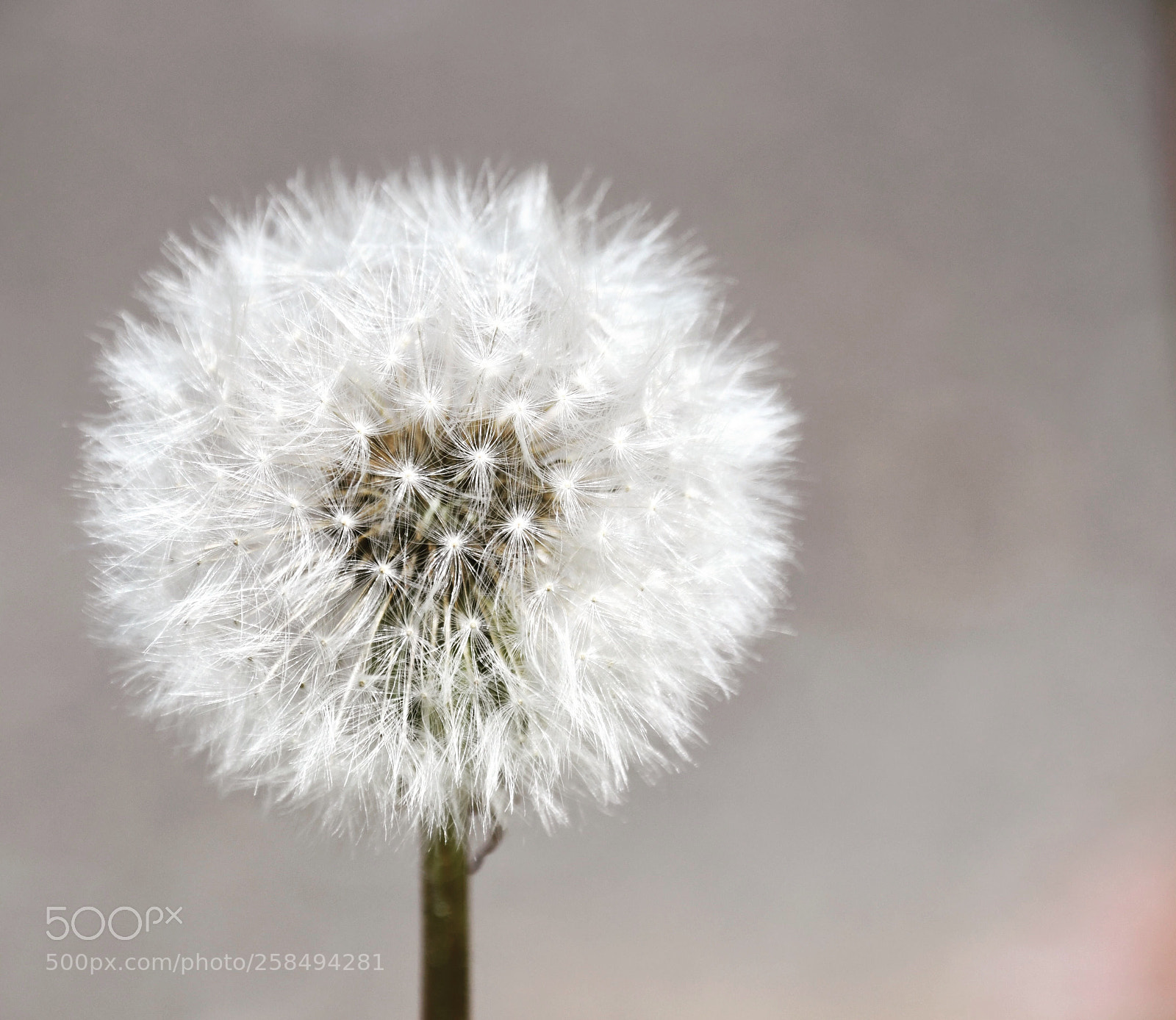Nikon D7500 sample photo. Untitled photography