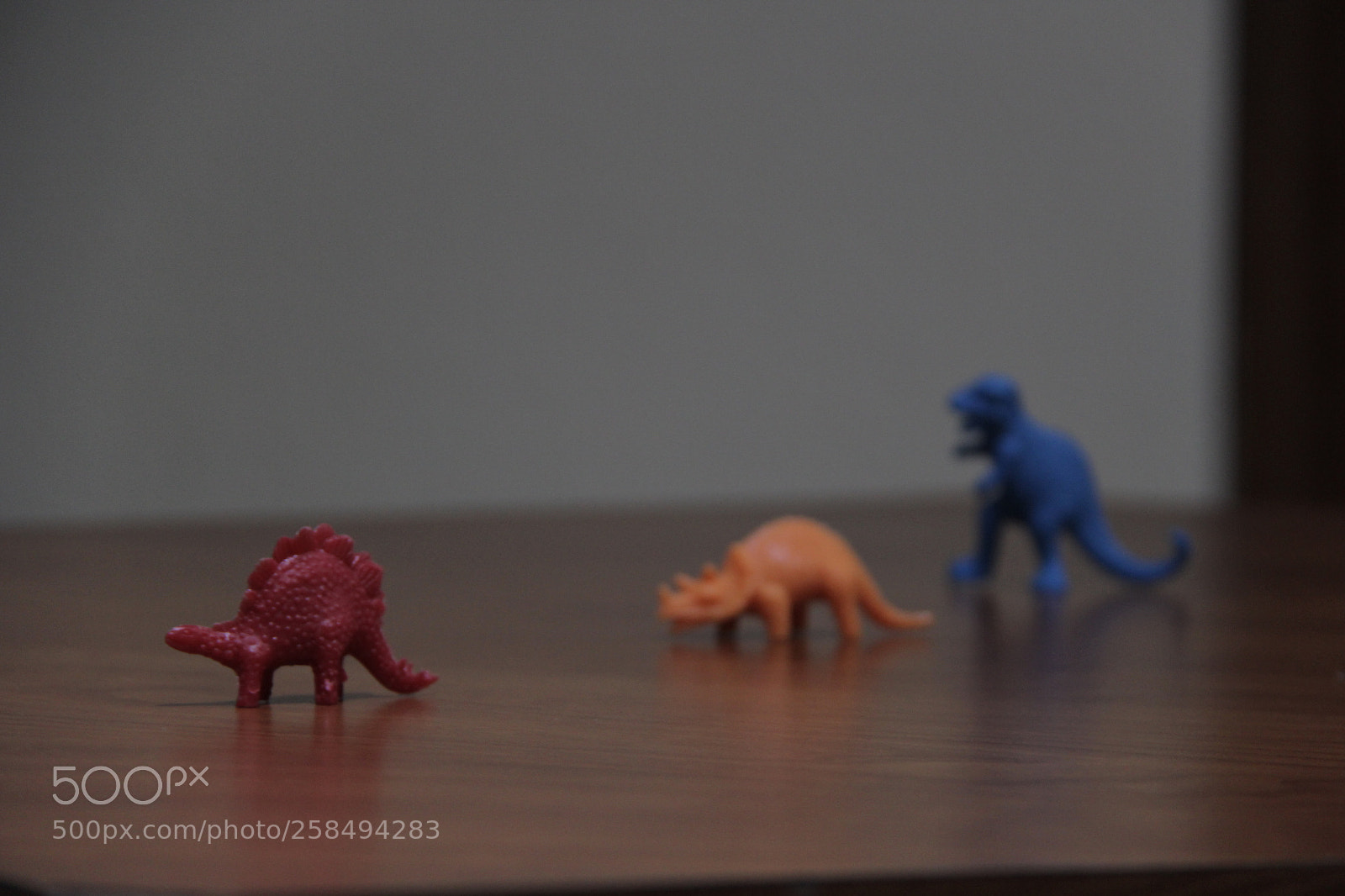 Canon EF-S 18-200mm F3.5-5.6 IS sample photo. 1/50 5.6  enfoque photography
