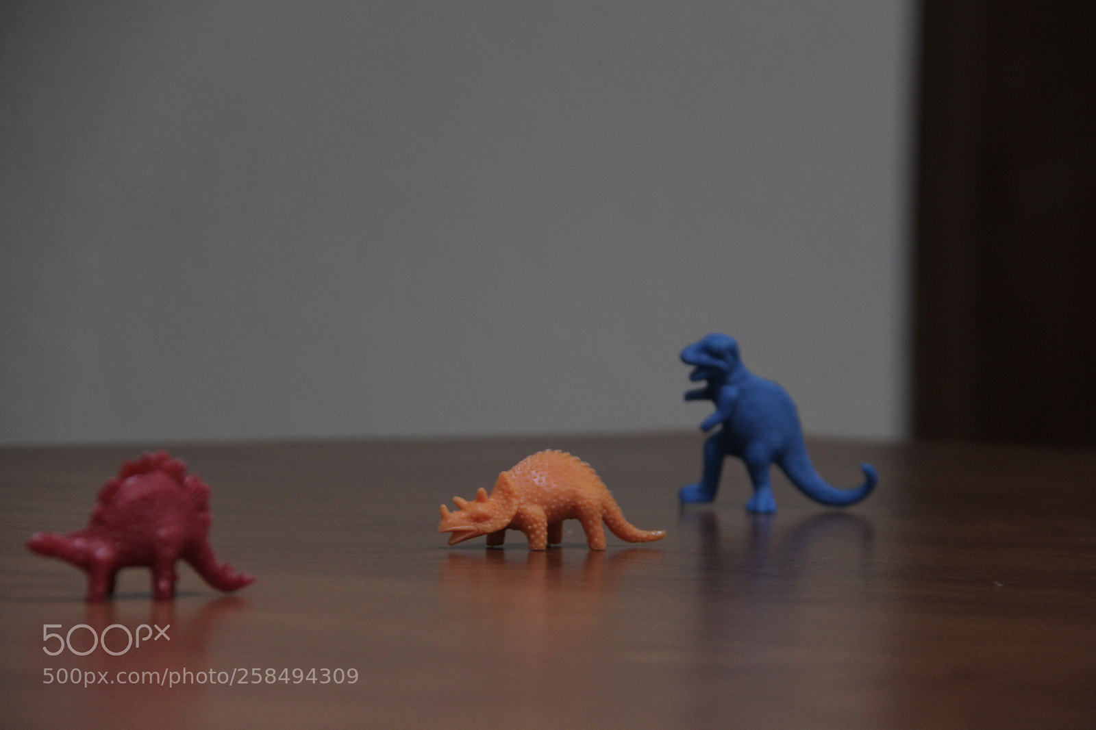 Canon EF-S 18-200mm F3.5-5.6 IS sample photo. 1/50 5.6 enfoque photography
