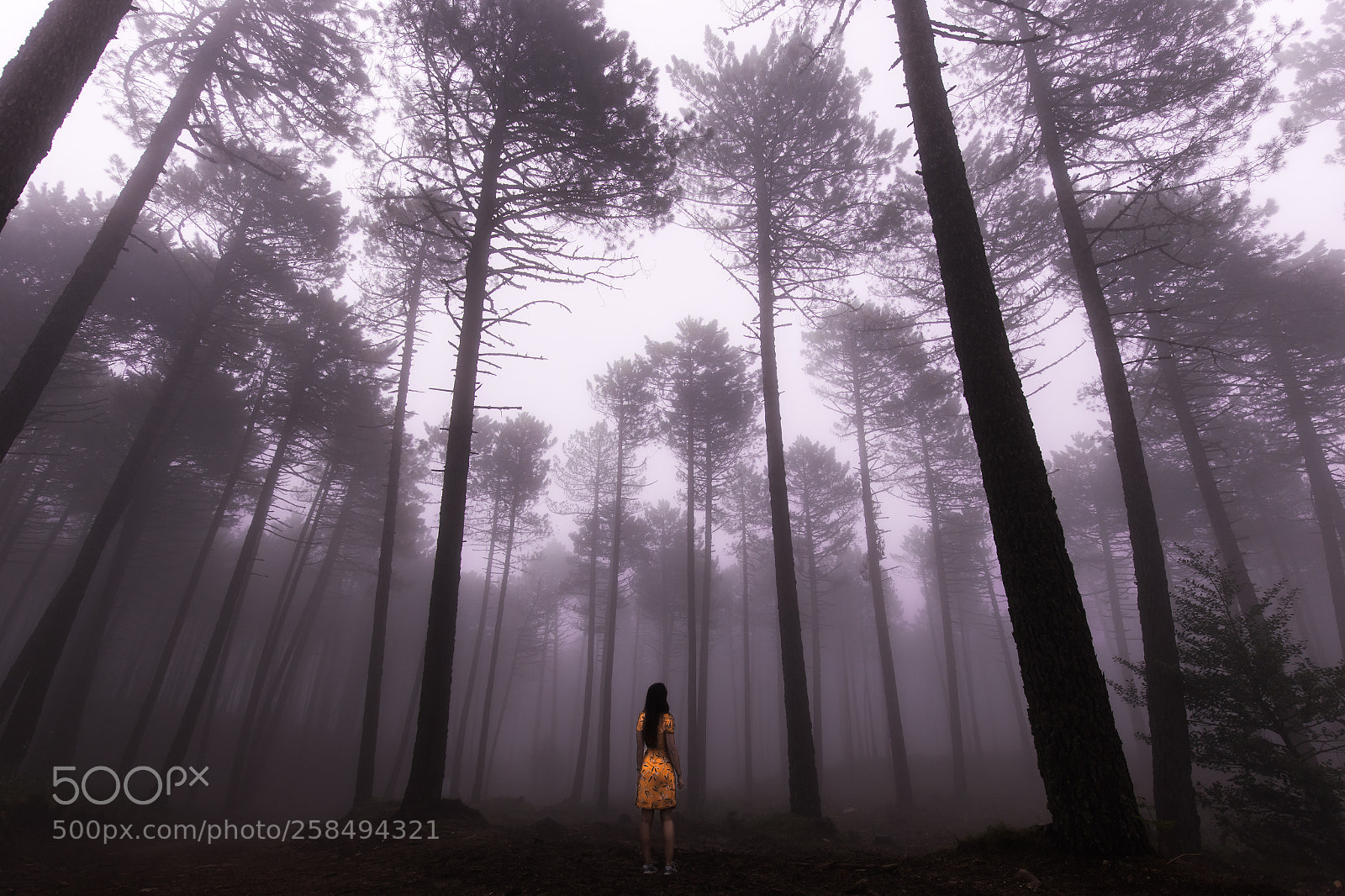 Canon EOS 6D sample photo. Misty corsica photography