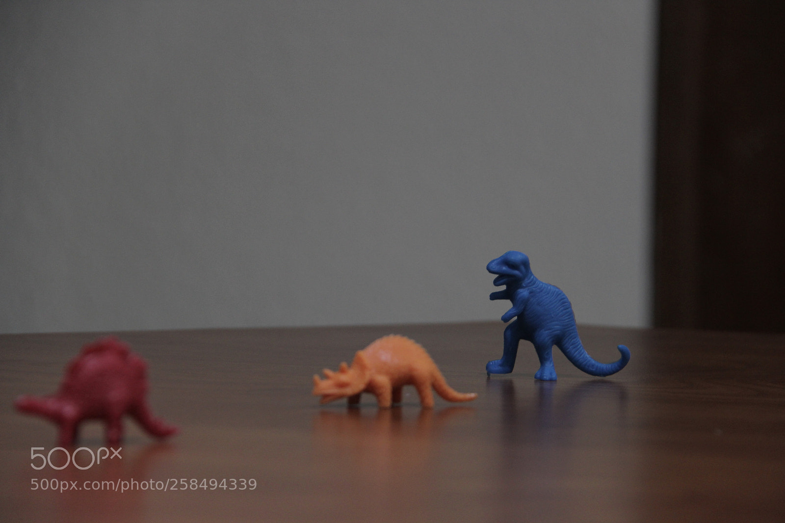 Canon EF-S 18-200mm F3.5-5.6 IS sample photo. 1/50 5.6 enfoque photography