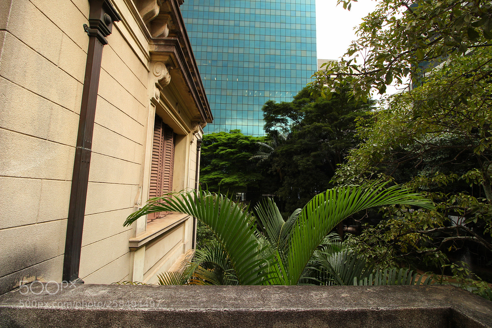 Canon EOS 700D (EOS Rebel T5i / EOS Kiss X7i) sample photo. Img photography