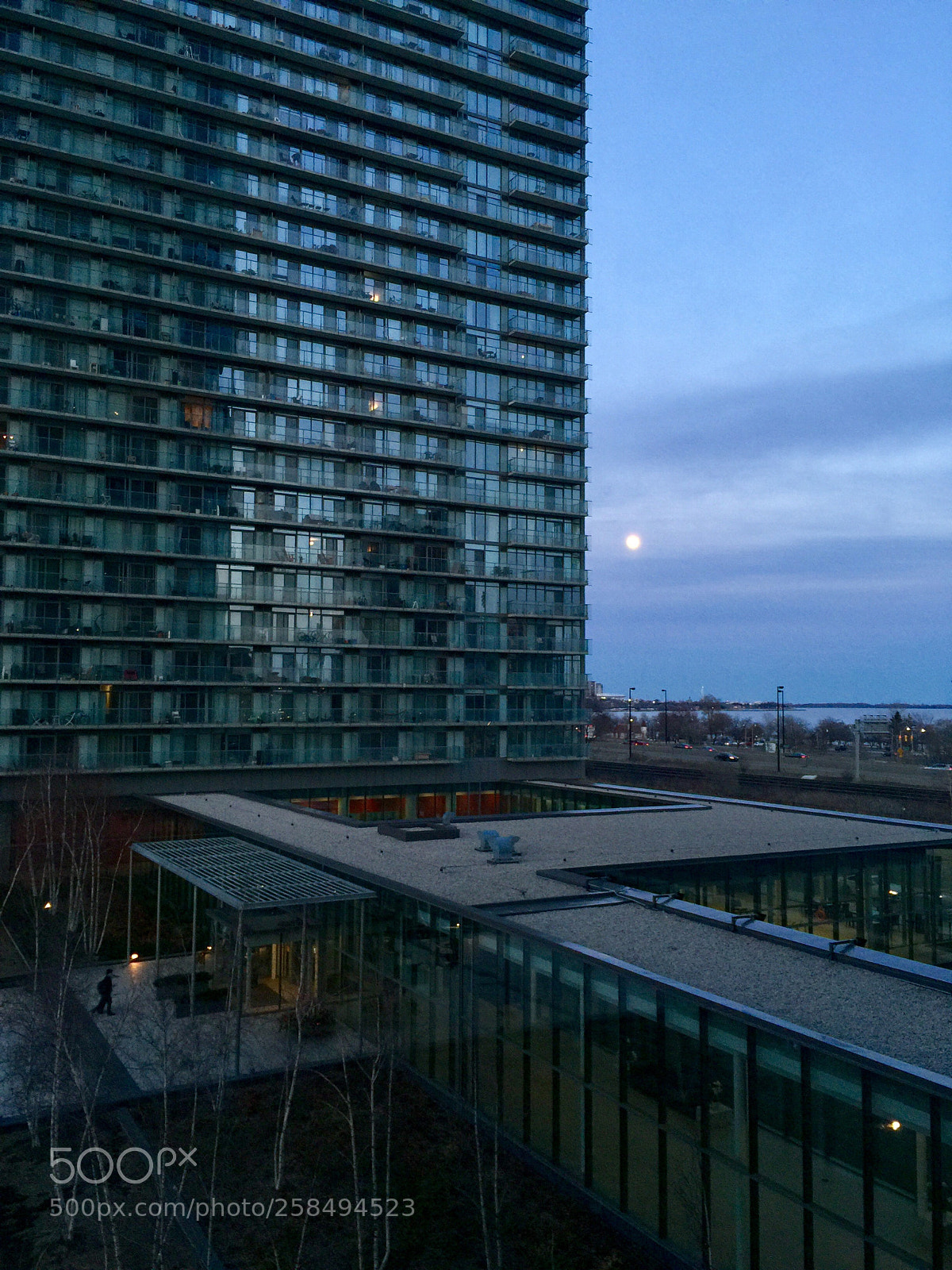 Apple iPhone 6 Plus sample photo. Untitled photography