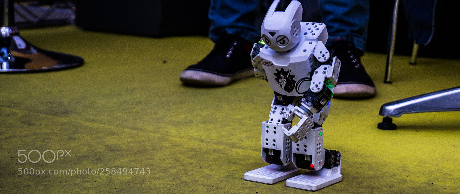 Sony SLT-A37 sample photo. Domo arigato mr roboto photography
