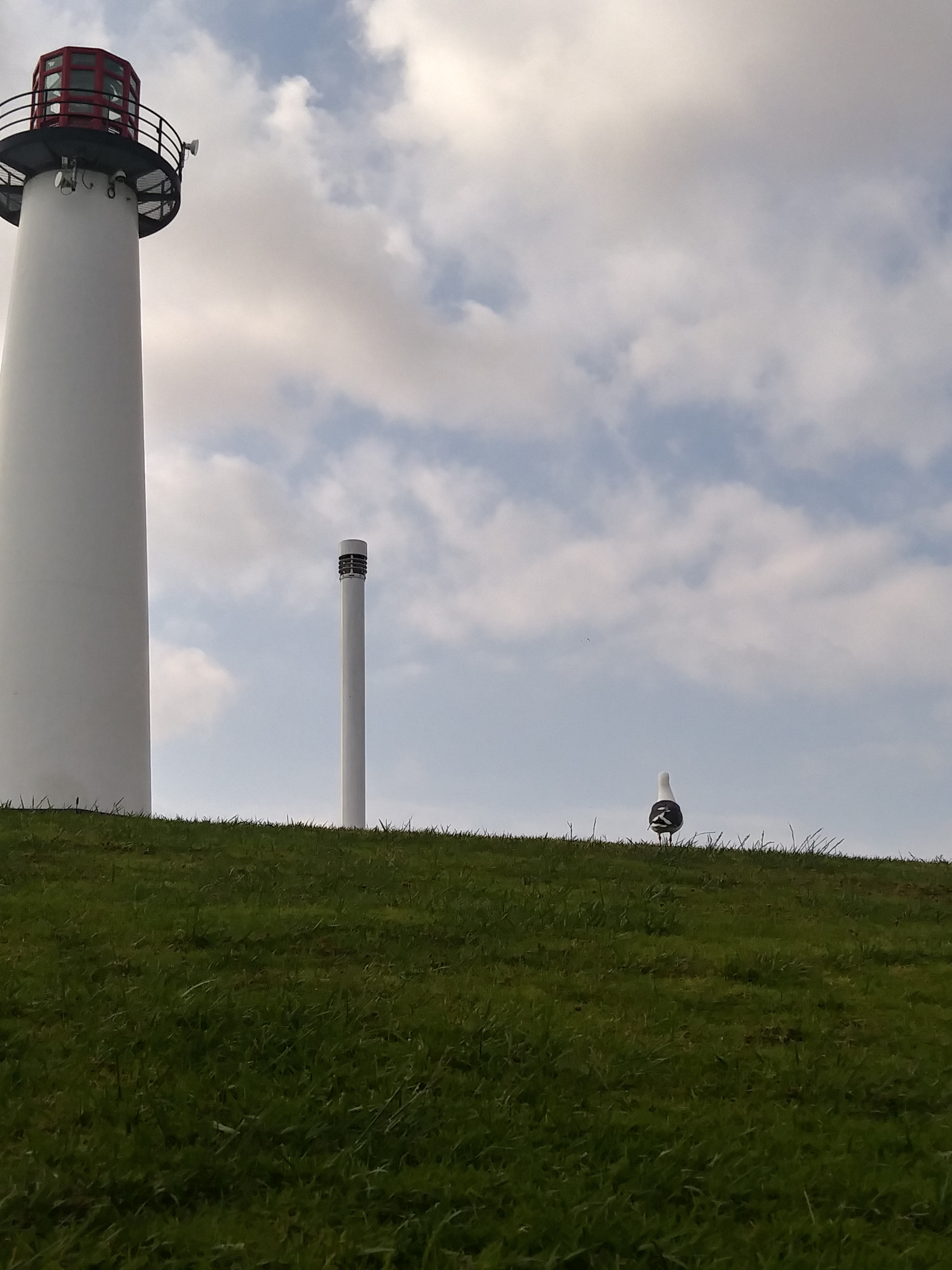 LG K20 PLUS sample photo. Lighthouse and a seagull photography