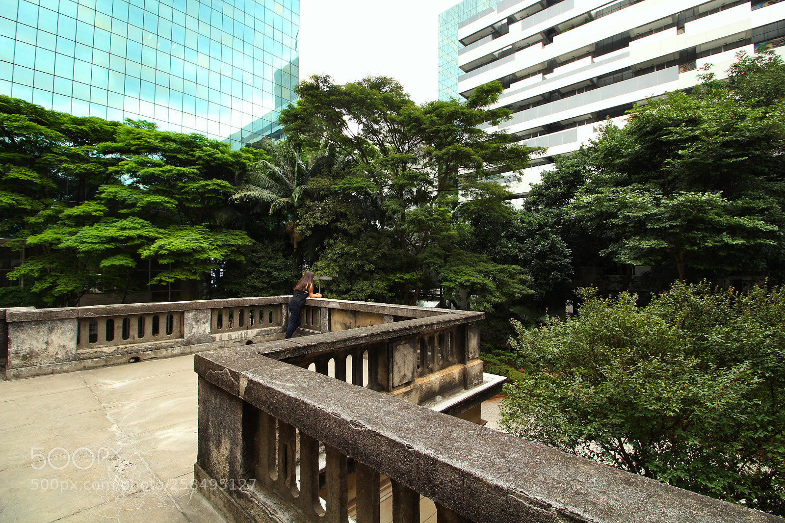 Canon EOS 700D (EOS Rebel T5i / EOS Kiss X7i) sample photo. Img photography