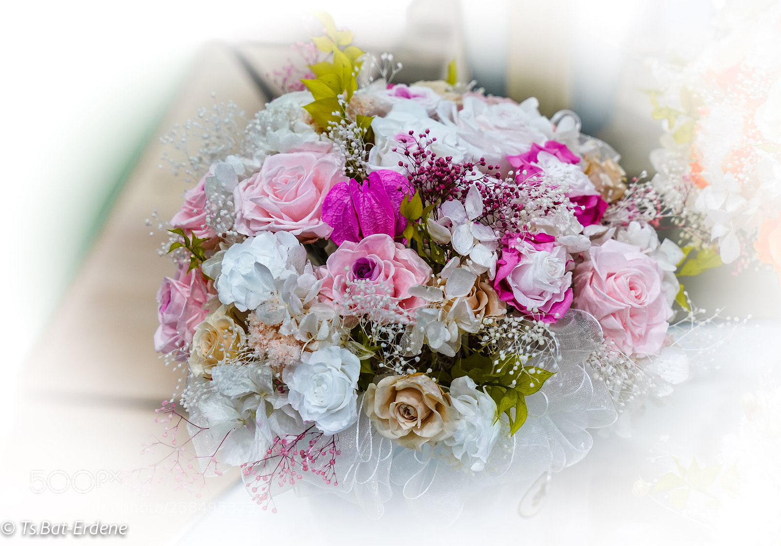 Sony a7R III sample photo. Wonderful flowers photography