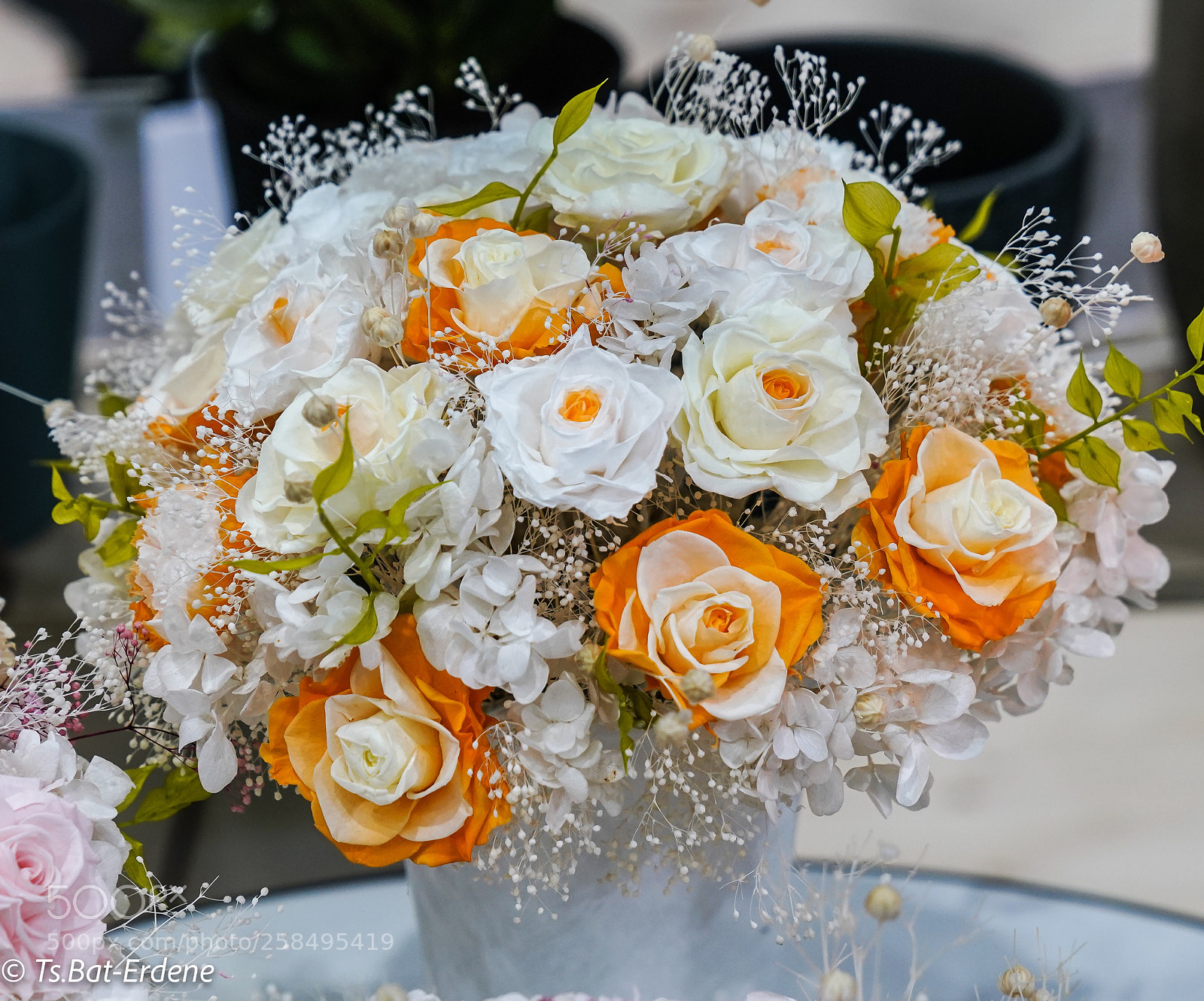 Sony a7R III sample photo. Beautiful flowers photography