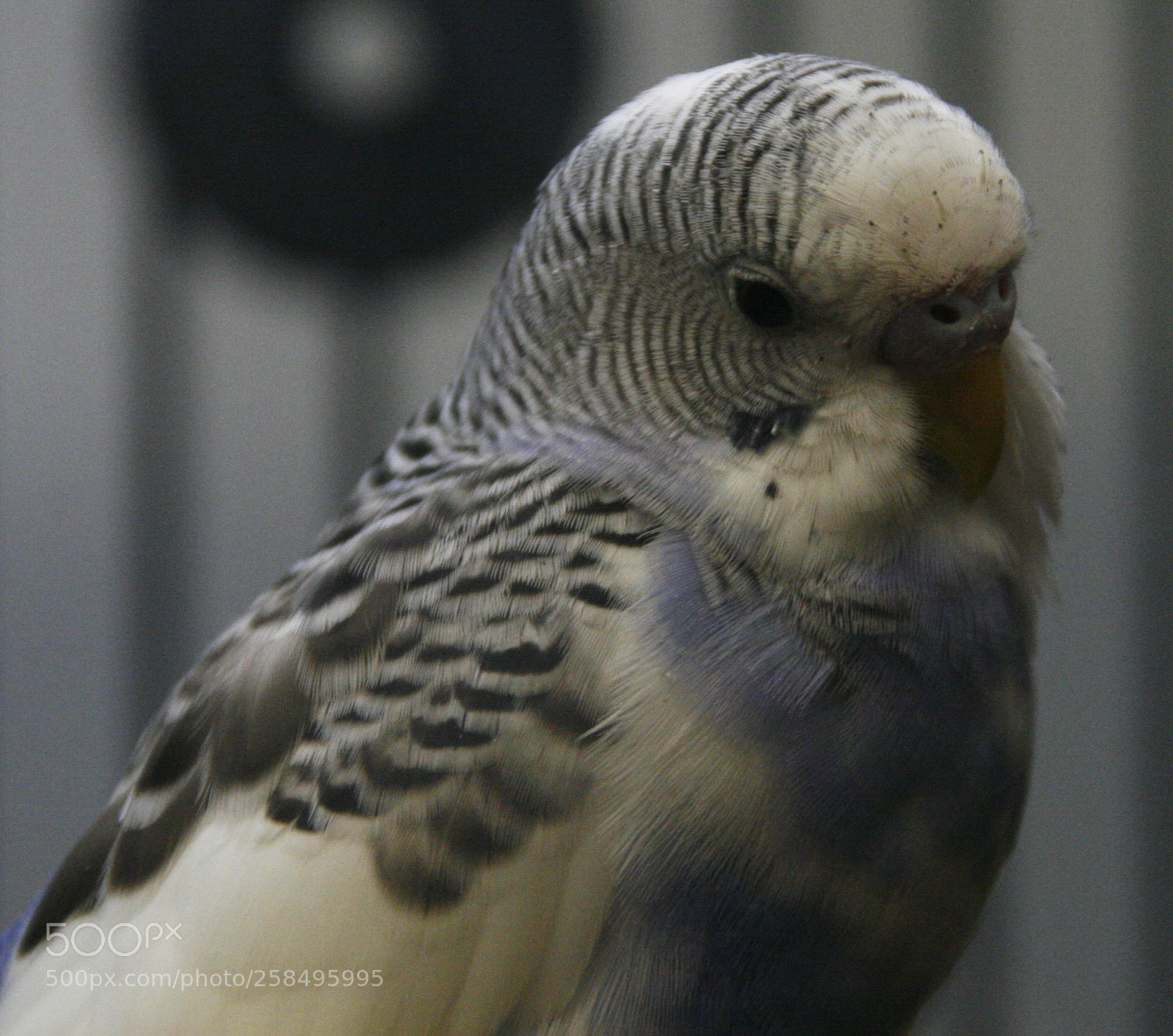 Canon EOS 30D sample photo. Untitled photography