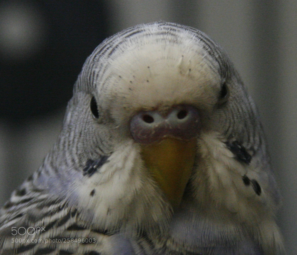 Canon EOS 30D sample photo. Untitled photography