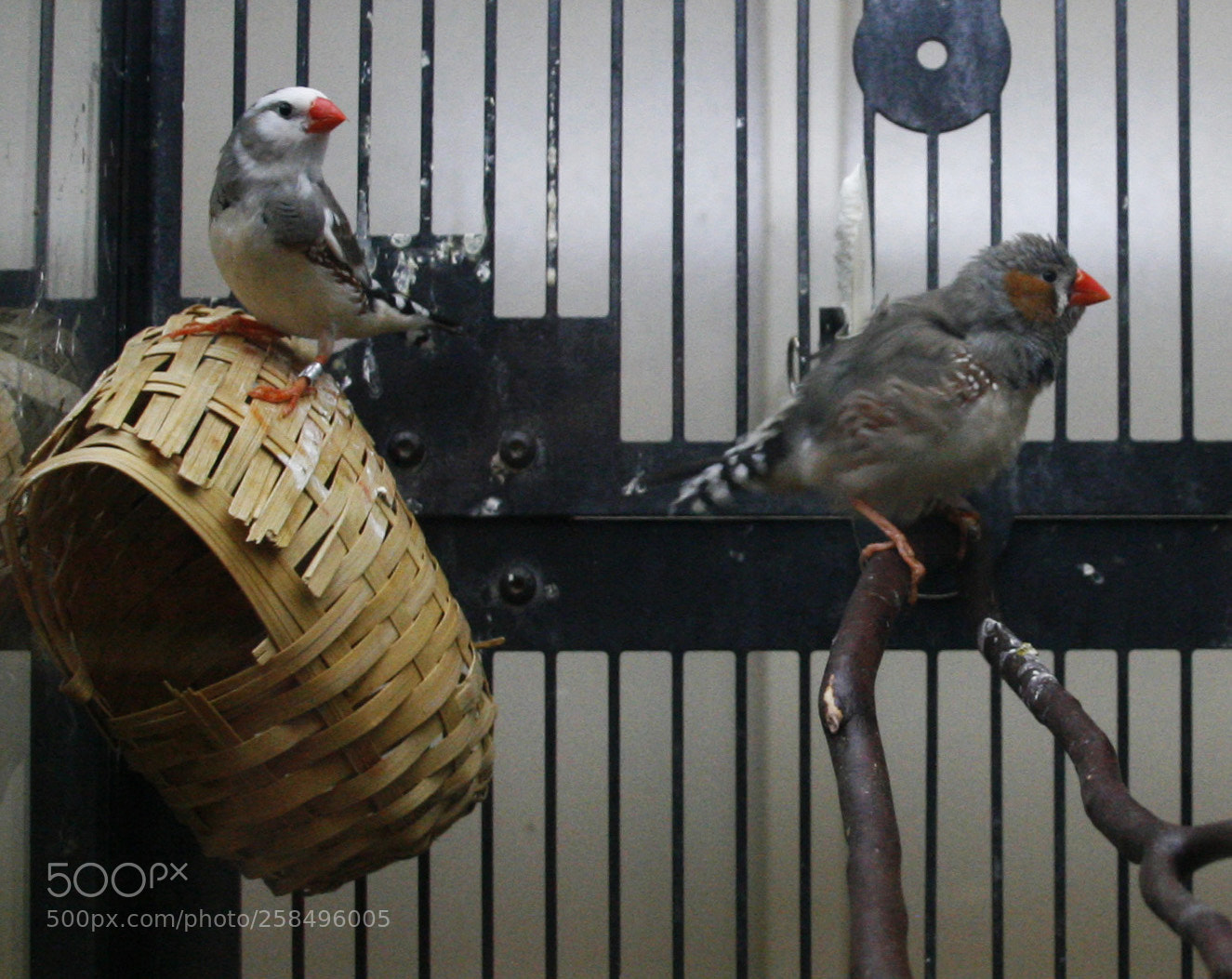 Canon EOS 30D sample photo. Untitled photography