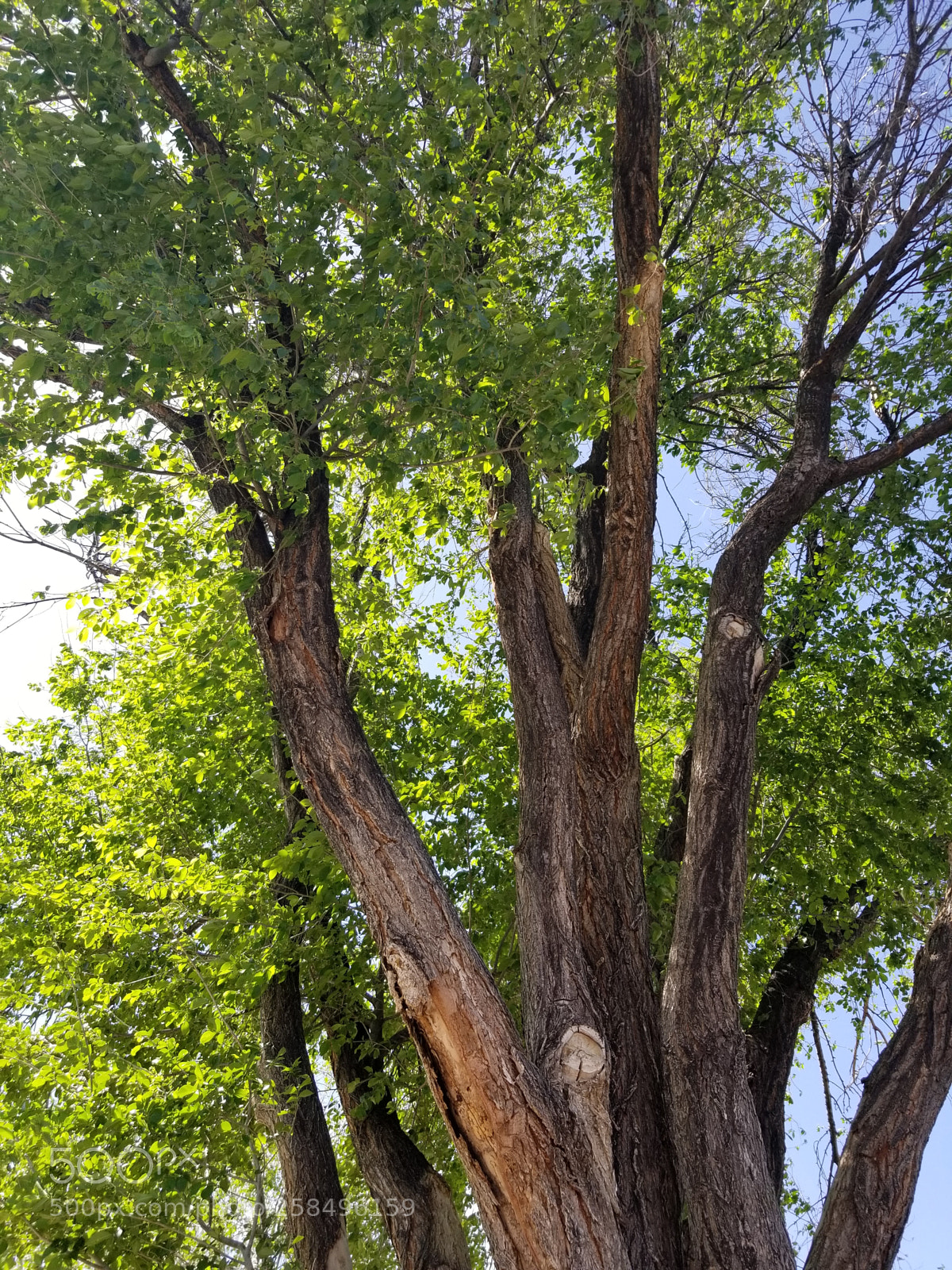 Samsung Galaxy S8 sample photo. Untitled photography
