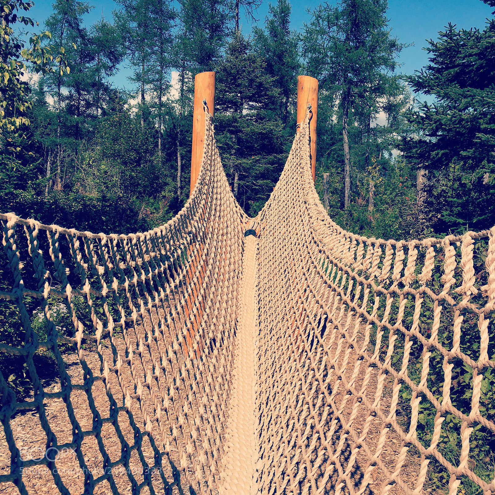 Apple iPhone 6s sample photo. Suspension bridge photography