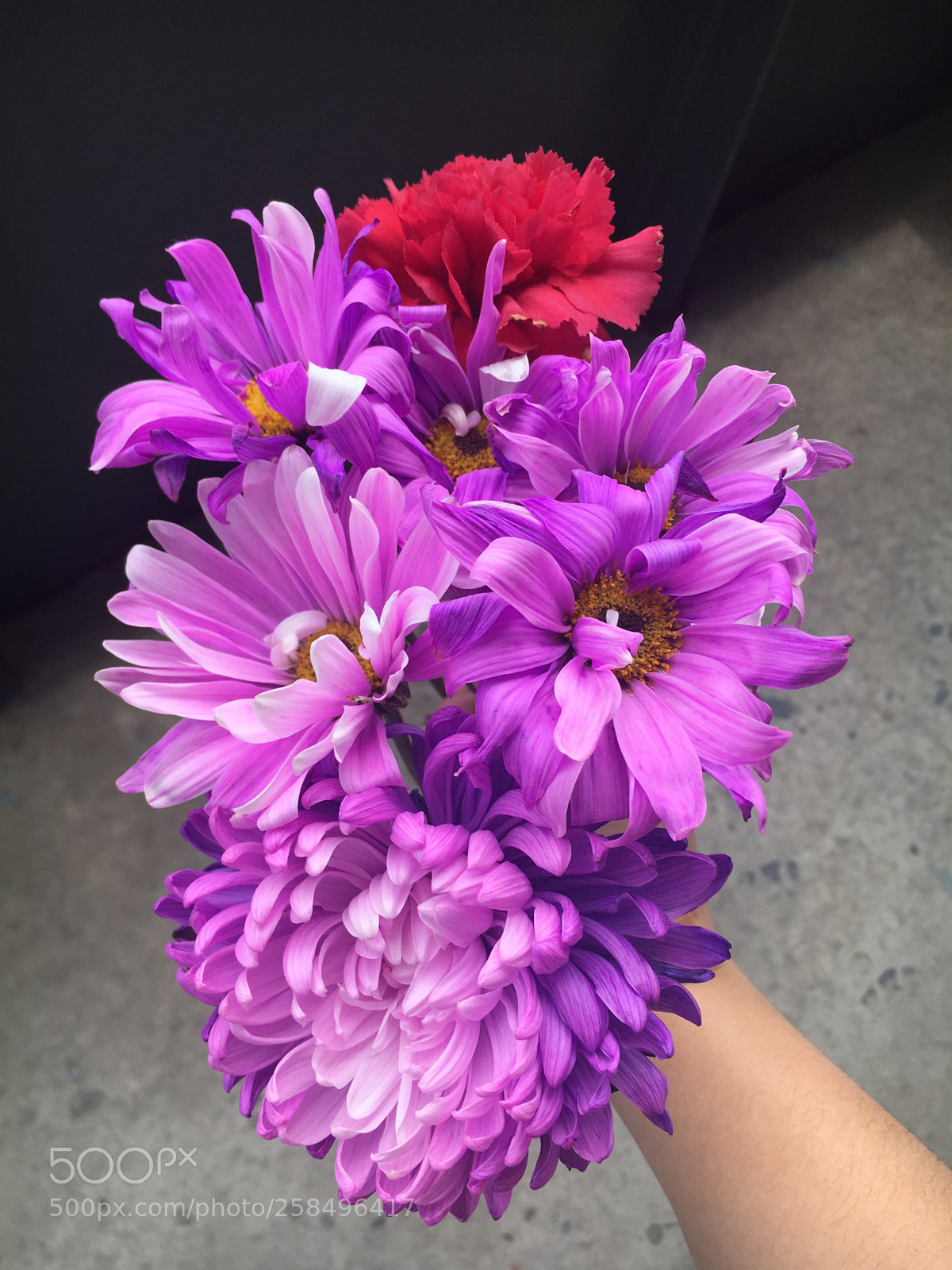 Apple iPhone 6s sample photo. Flowers photography