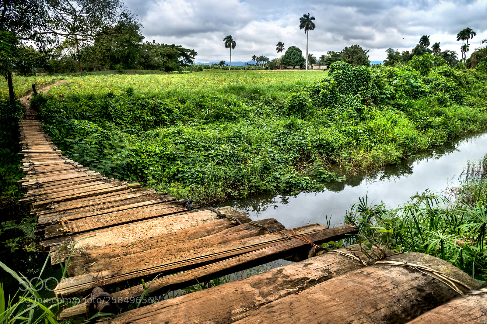 Nikon D5300 sample photo. Cross ways photography