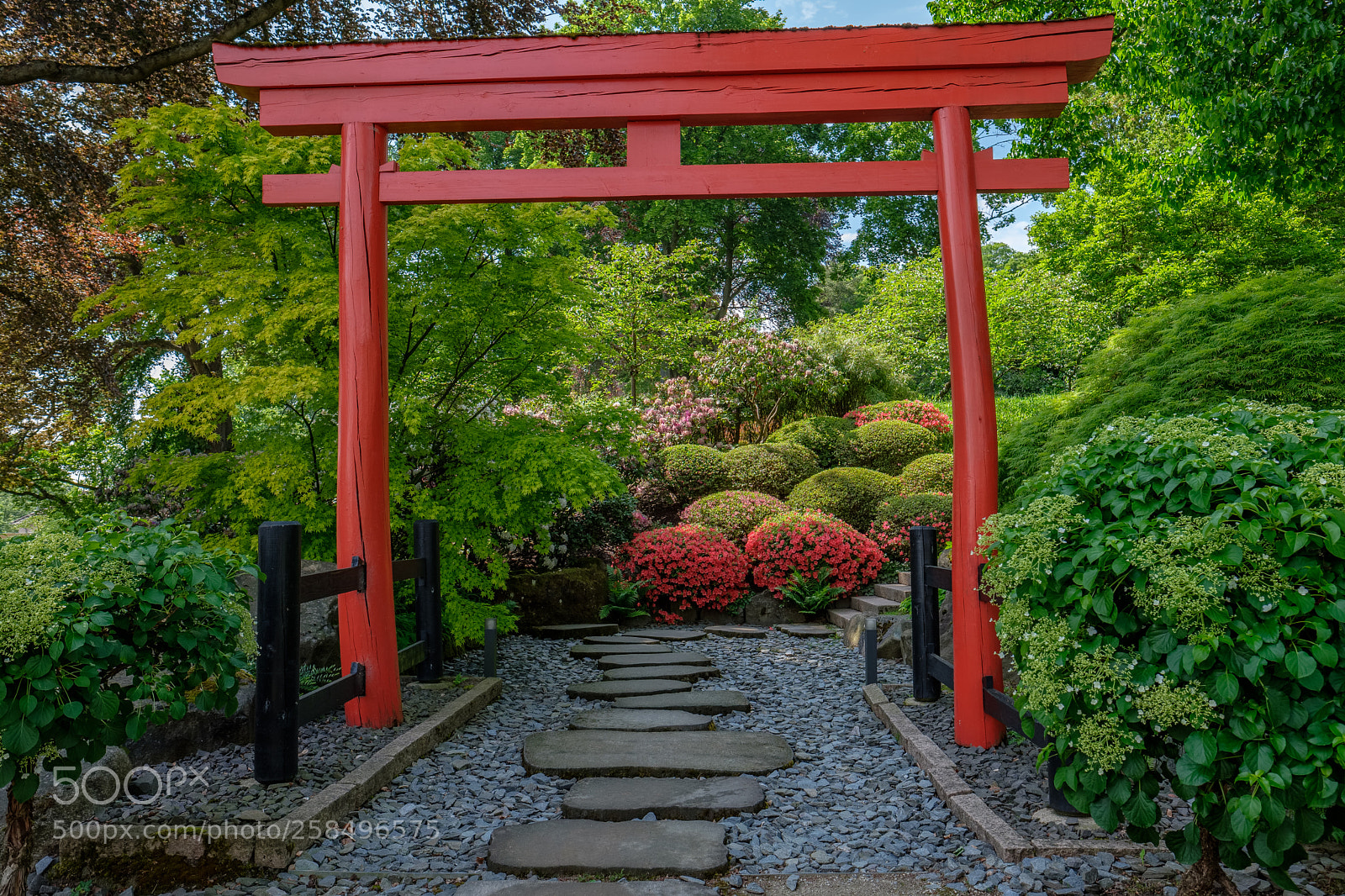 Fujifilm X-T2 sample photo. Be here and now photography