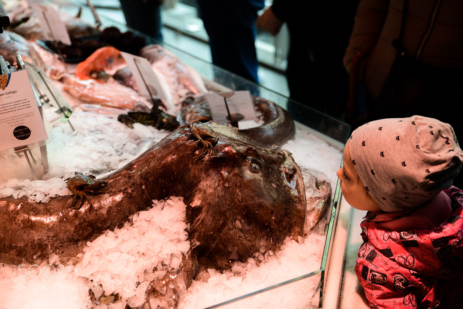 Nikon D800 sample photo. Kid and monkfish photography