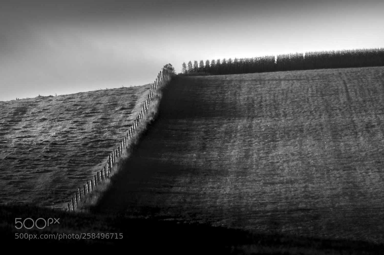 Nikon D90 sample photo. Farmers light ... photography