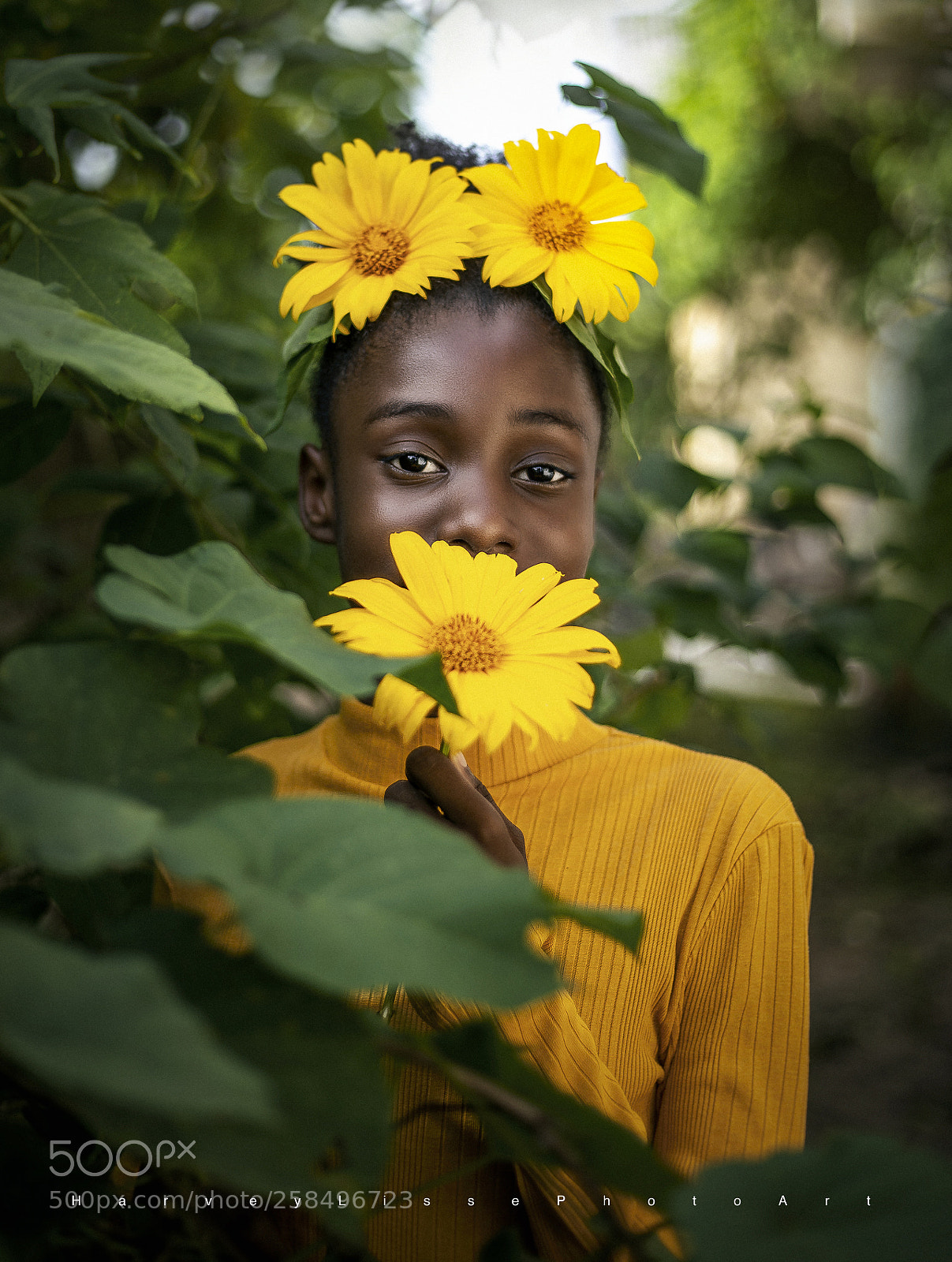 Canon EOS 6D sample photo. Sunflower photography