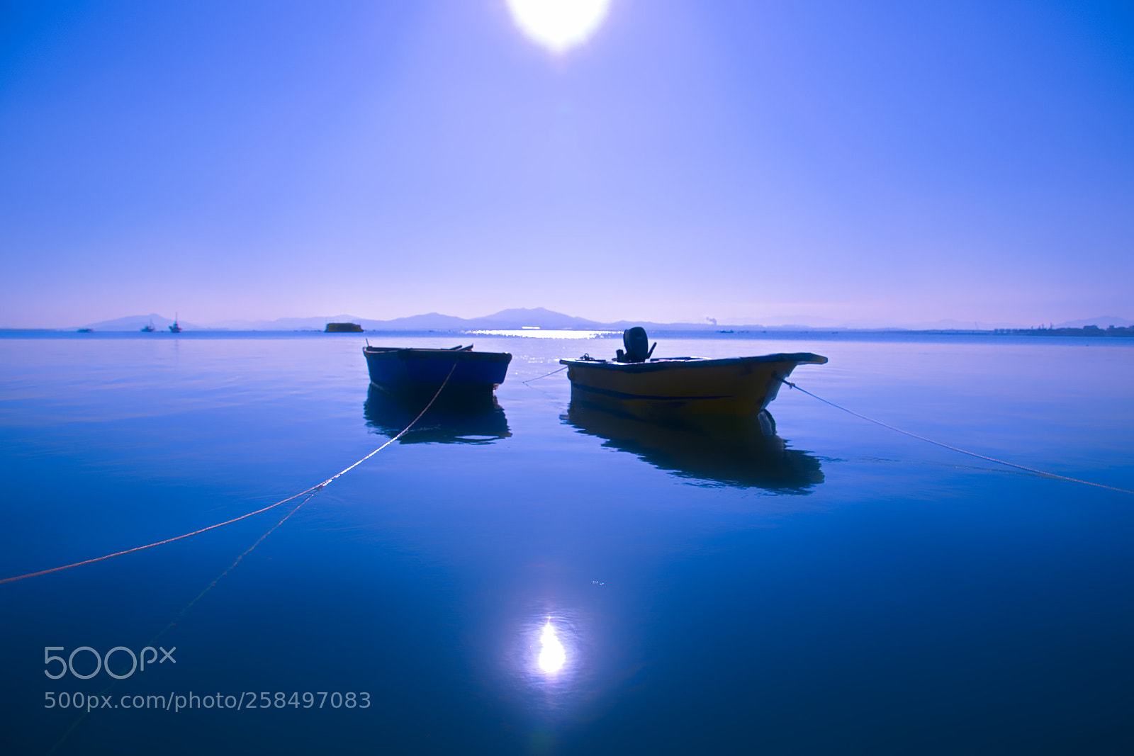 Nikon D5500 sample photo. Blue photography