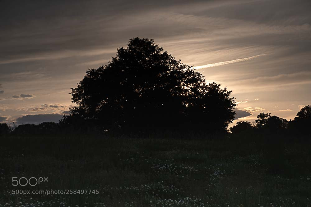 Nikon D500 sample photo. Lakeshore sunset photography