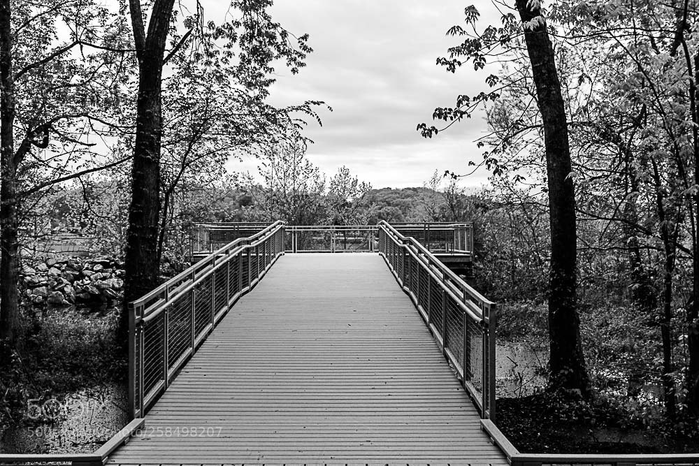Nikon D500 sample photo. Walkway photography