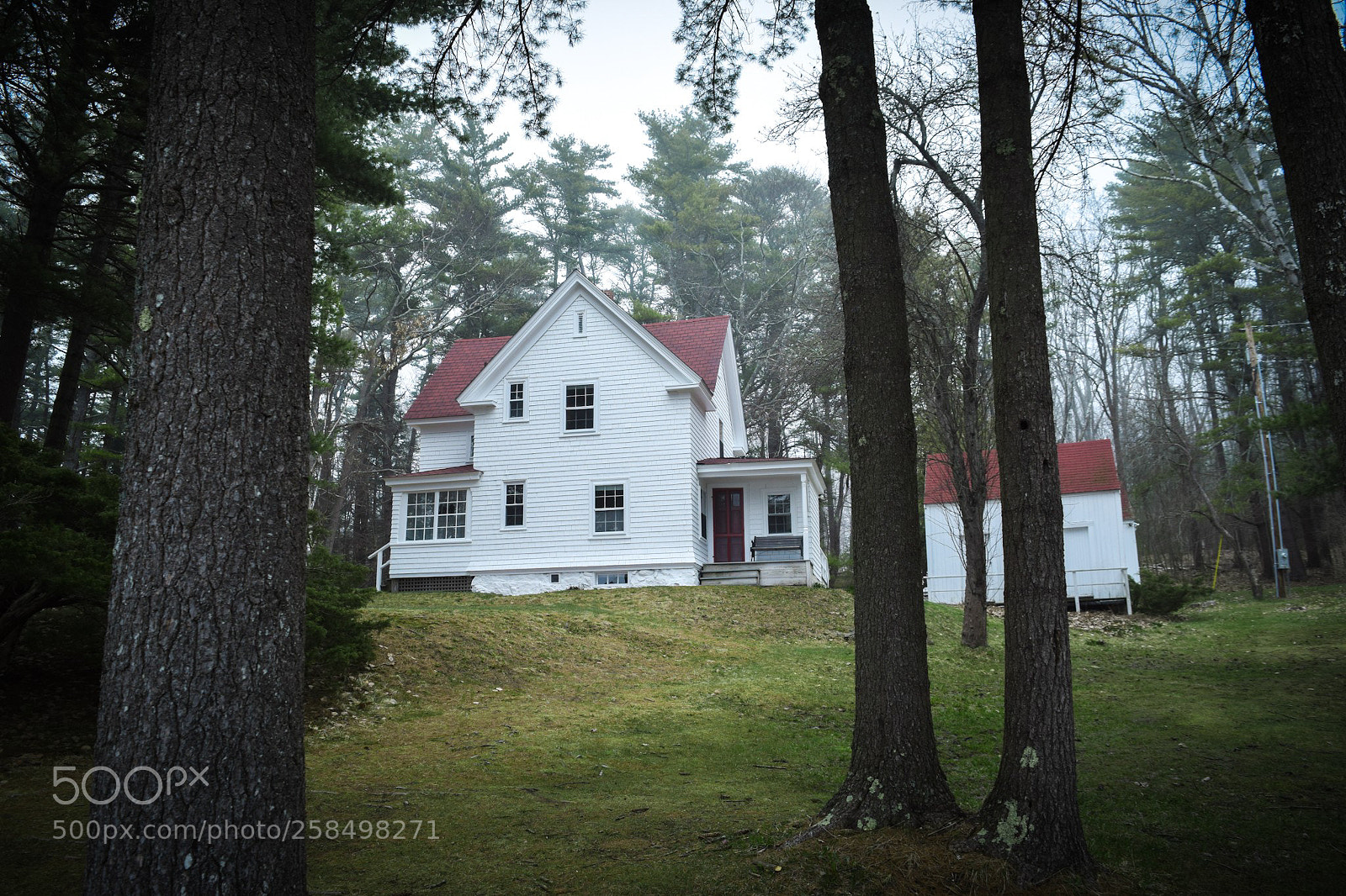 Nikon D3300 sample photo. House in the woods photography