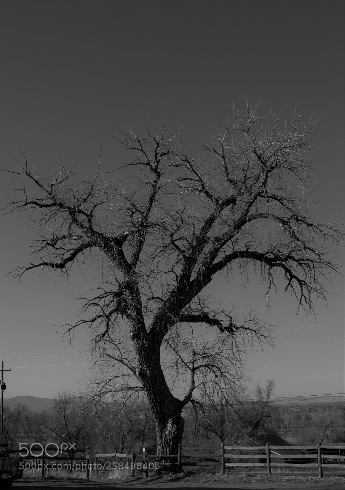 Nikon D3200 sample photo. Teller farms treasure photography
