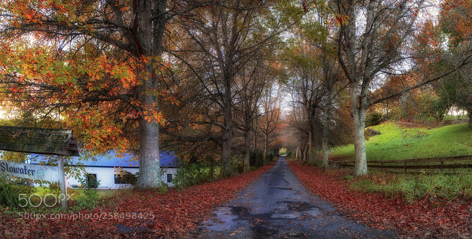 Nikon D800 sample photo. Autumn driveway photography
